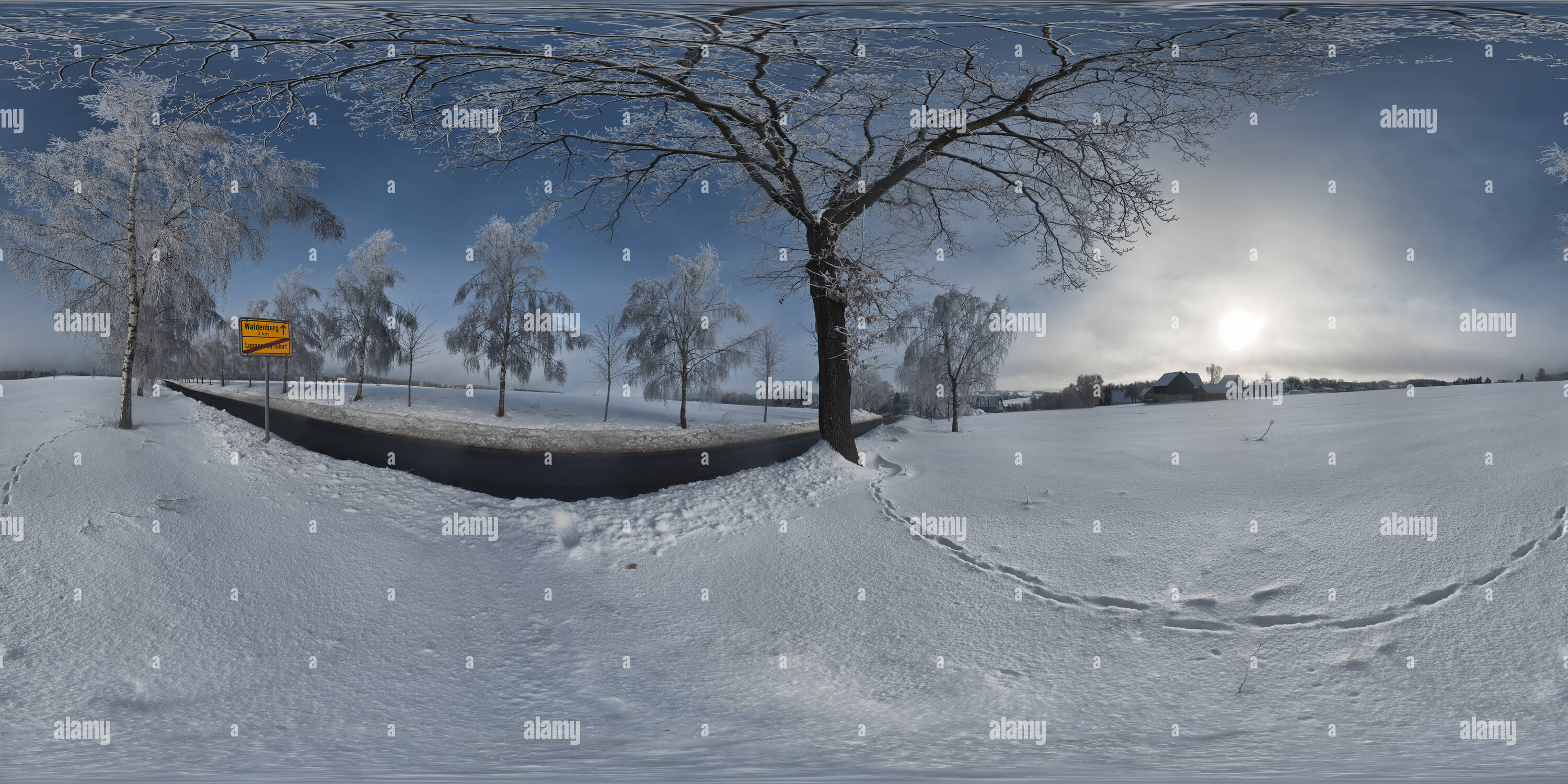 360 degree panoramic view of winterdream