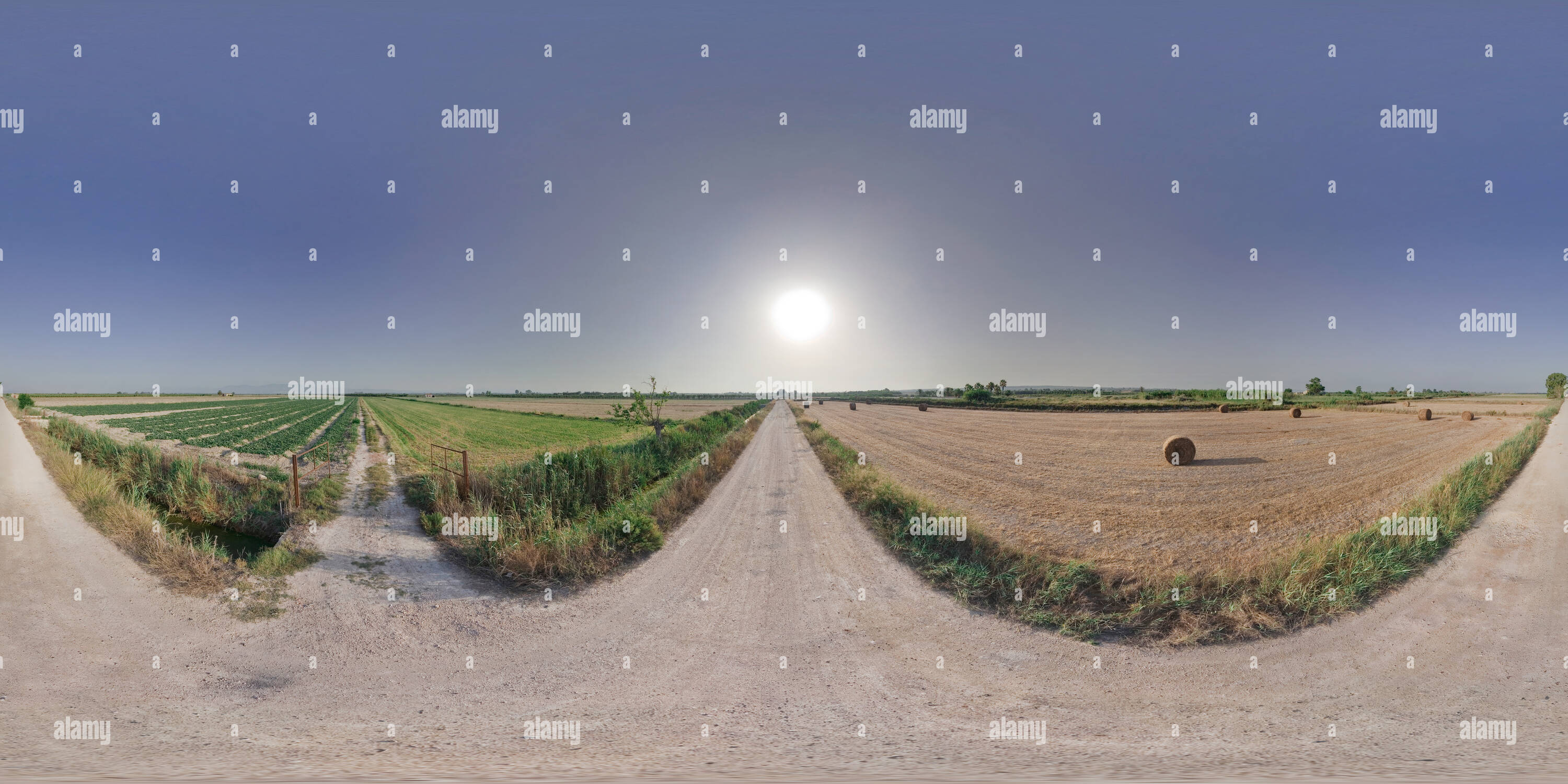 360° View of Farming plots Alamy