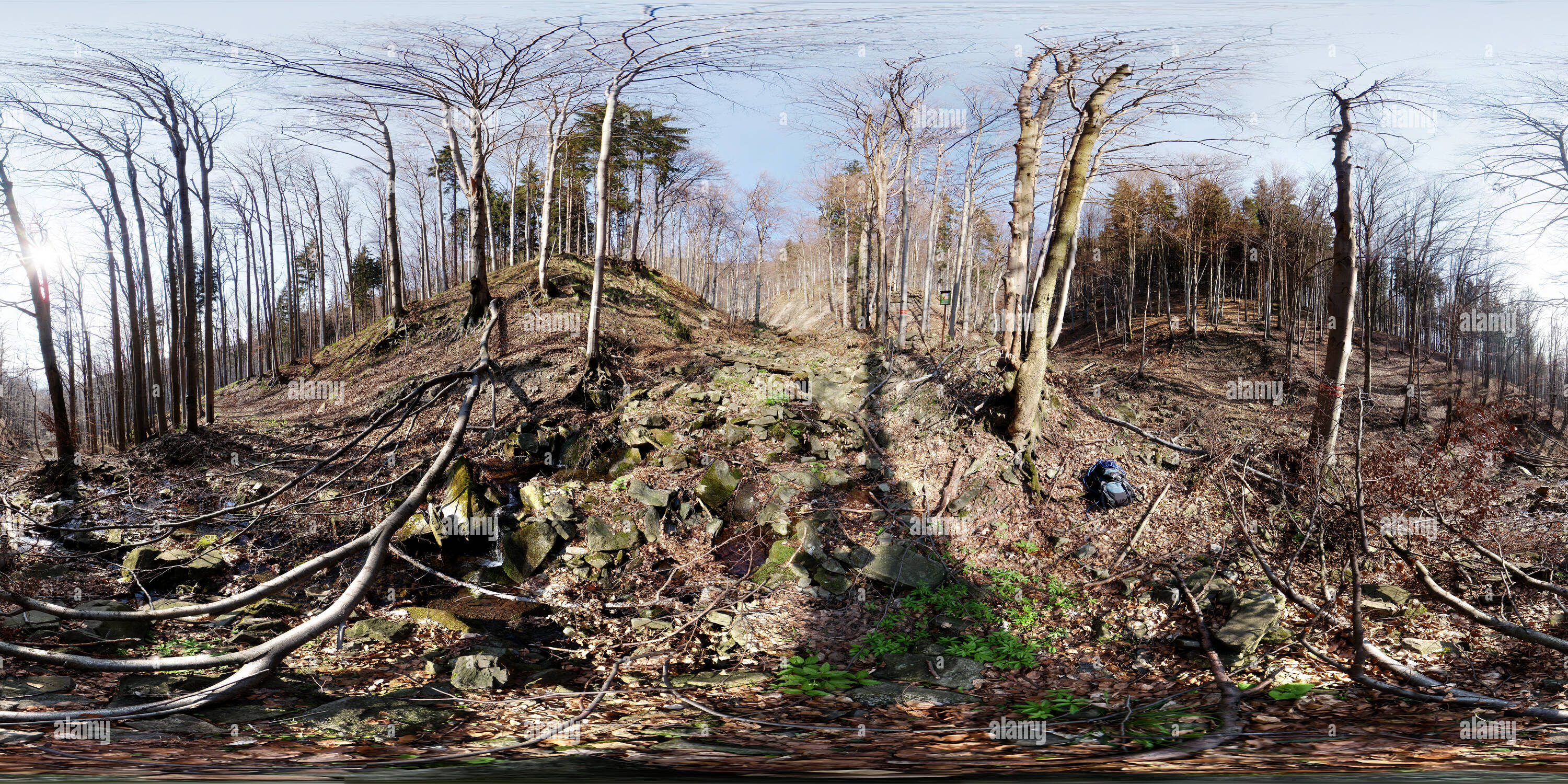 360 degree panoramic view of Mazak spruit