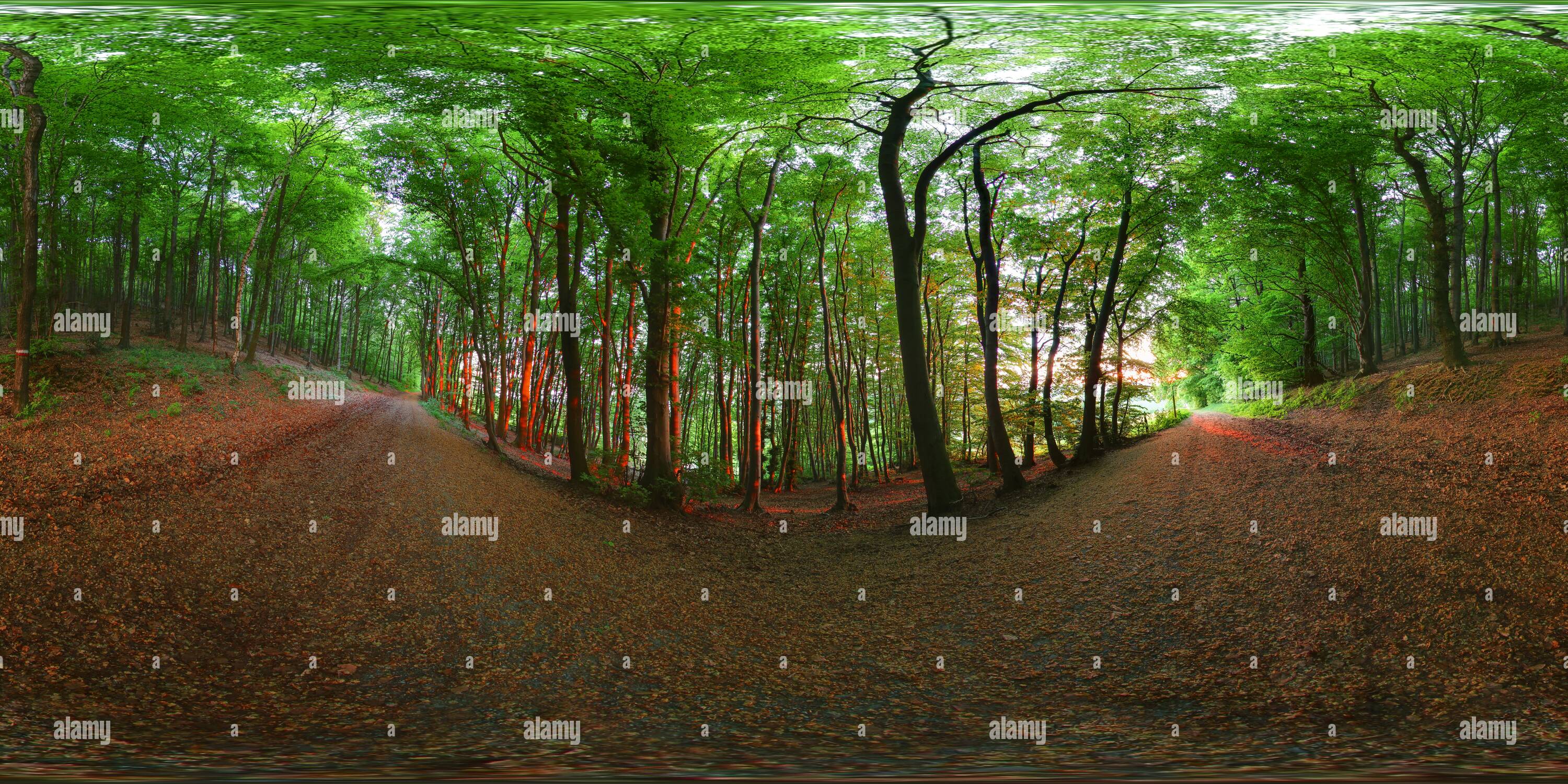 360° view of Sunset at Bad Oeynhausen Alamy