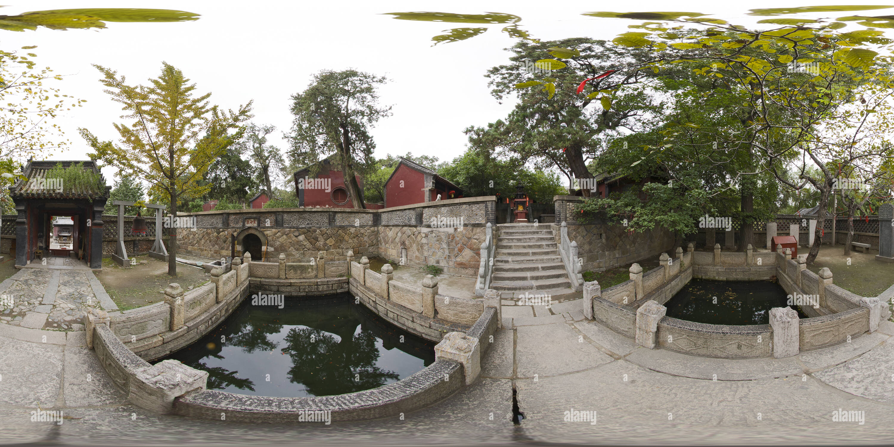 360° view of Tai Chi Queen Mother Queen Mother of the spring Alamy