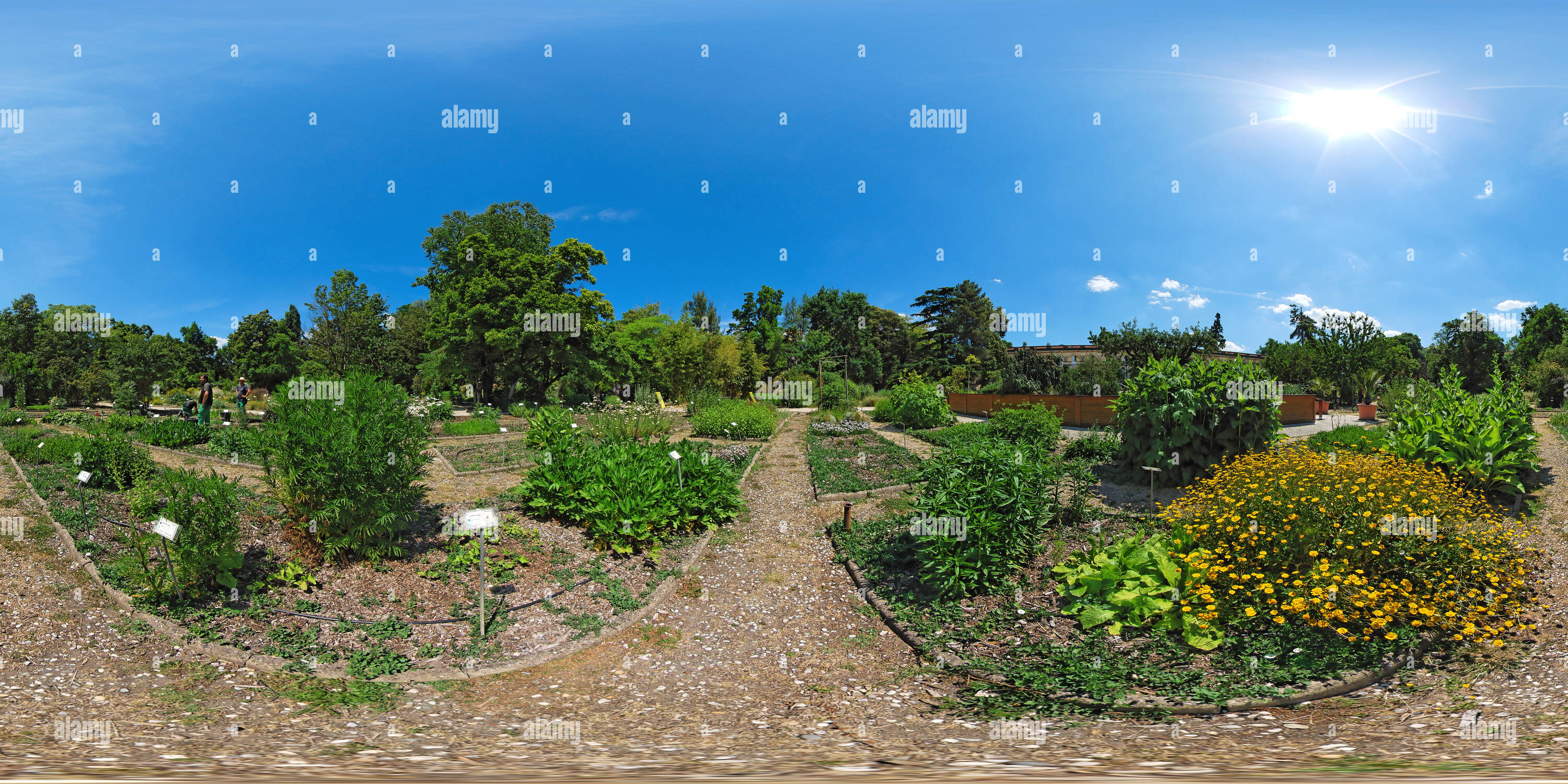 360° view of Entretien du jardin botanique du jardin public de Bordeaux