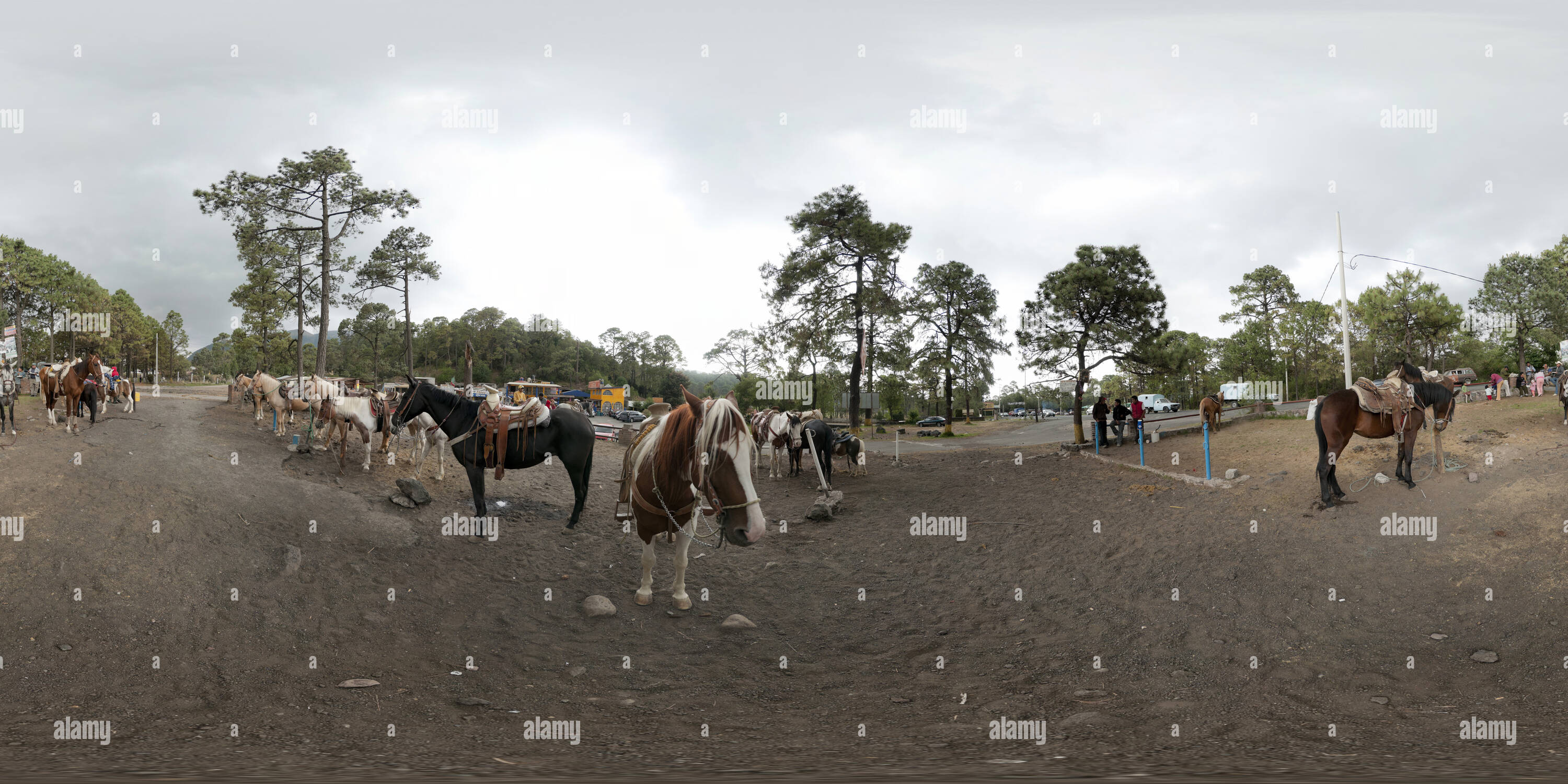 360 degree panoramic view of Ride a Horse at 'El Ajusco'