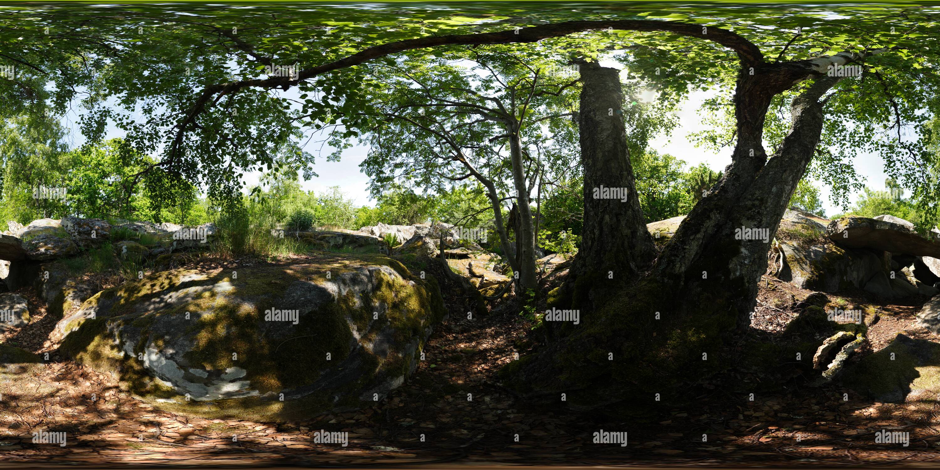 360 degree panoramic view of Grim's Caves in Karlskrona