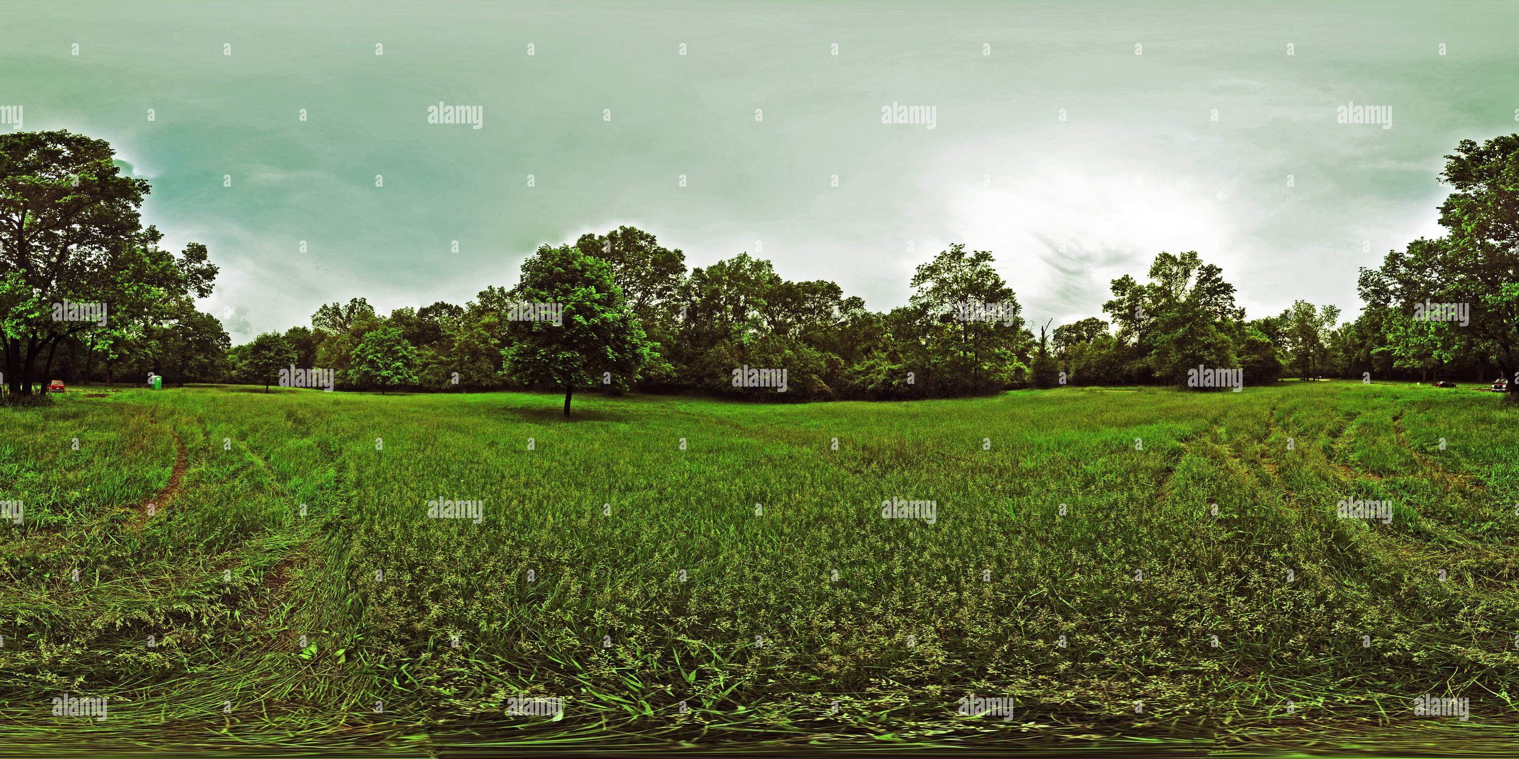 360-view-of-forest-preserve-east-woods-park-ridge-il-alamy