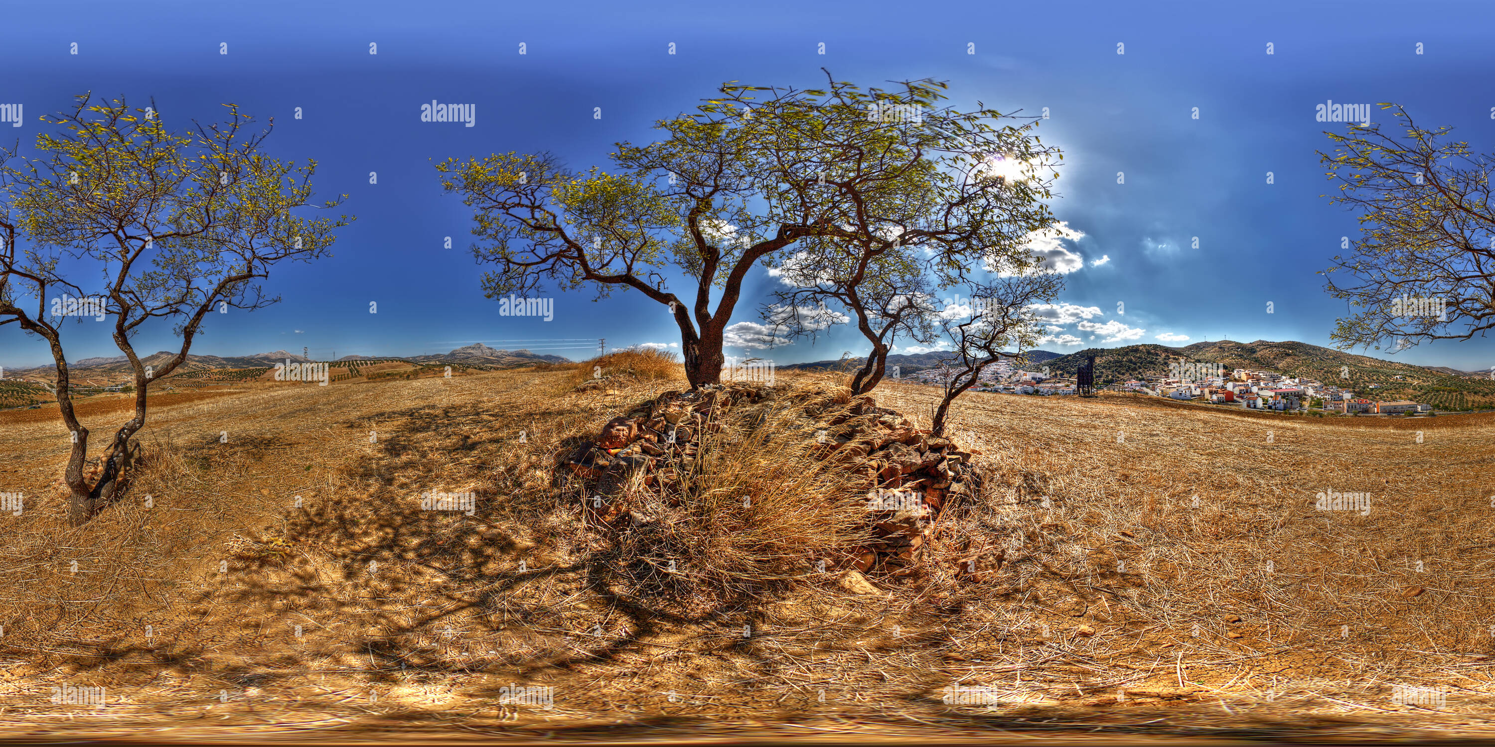 360° view of spanish osborne bull Casabermeja Alamy