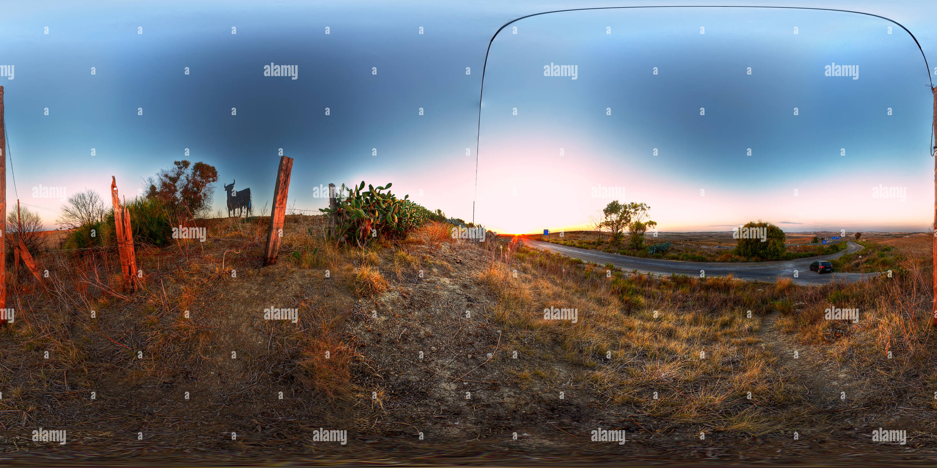 360° view of spanish osborne bull Pto Sta Maria Alamy