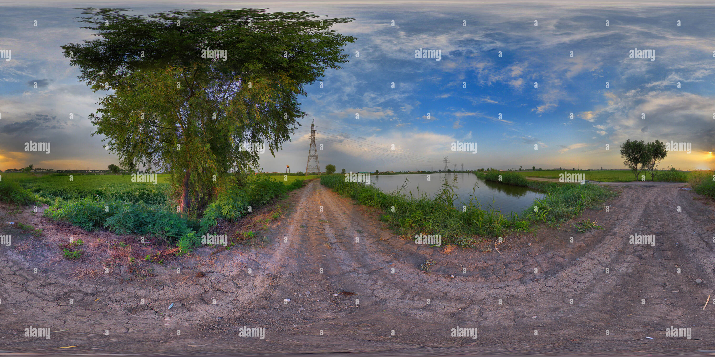 360° view of The beautiful rice farm - Alamy