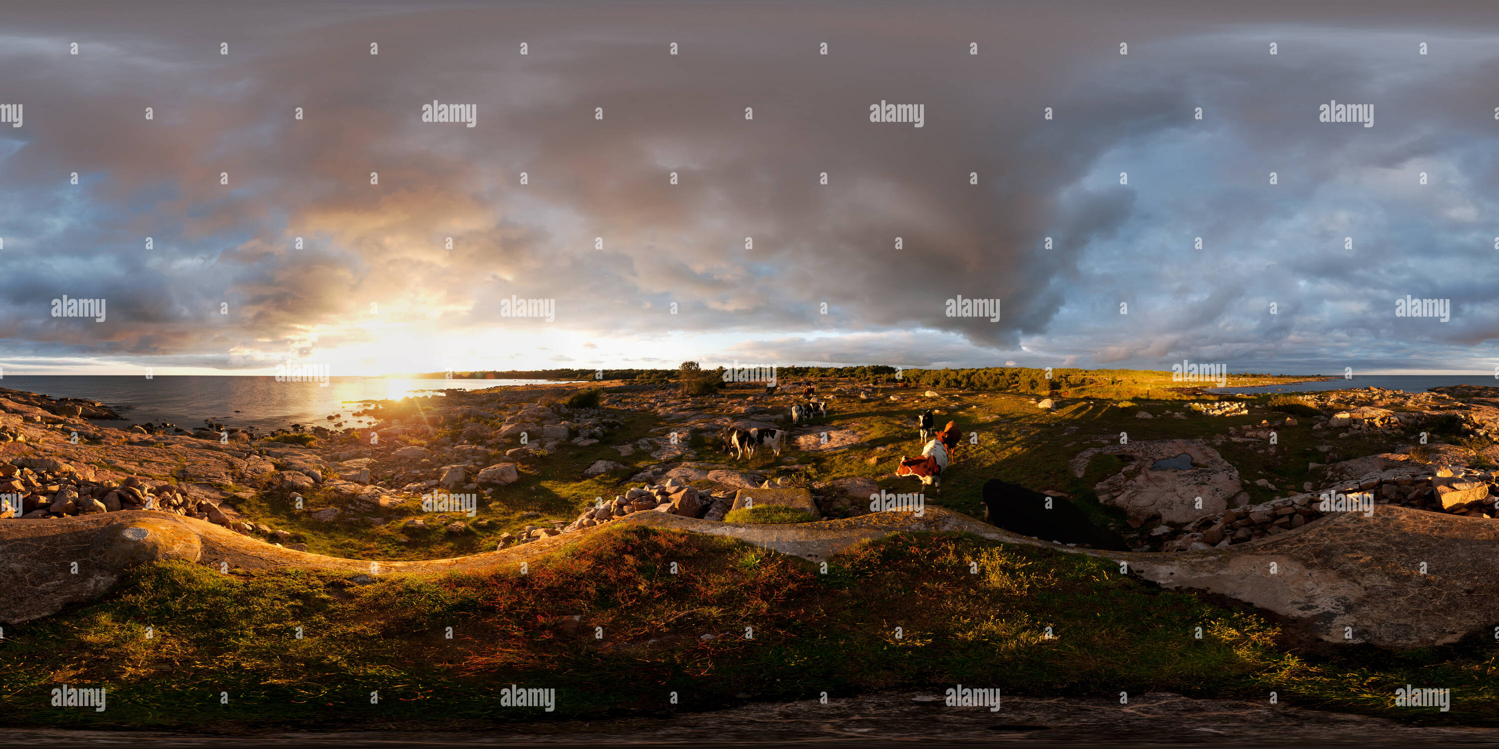 360 degree panoramic view of Uttorp At Dusk