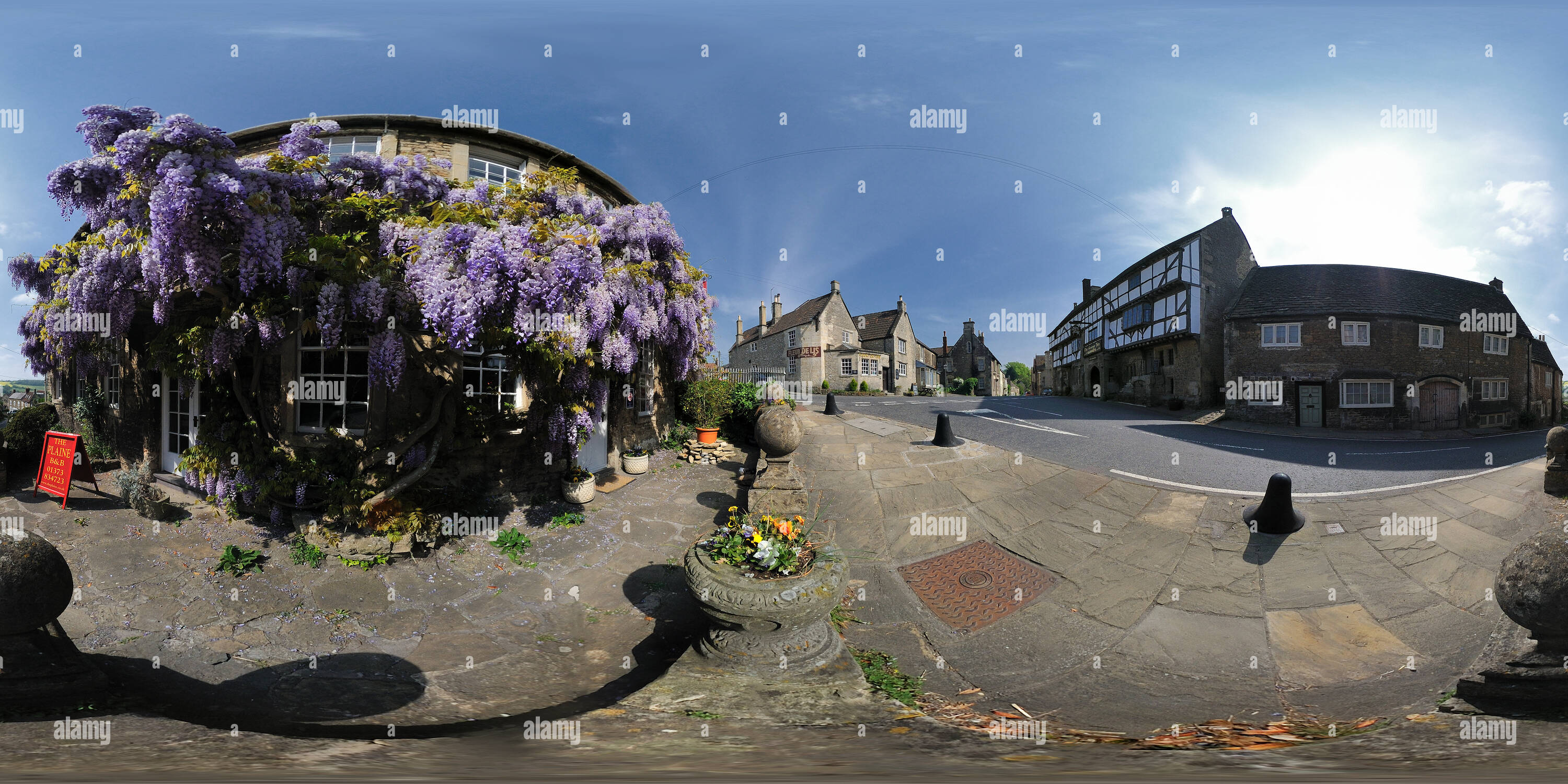 360° view of Wisteria clinging to a cottage in Norton St Philip