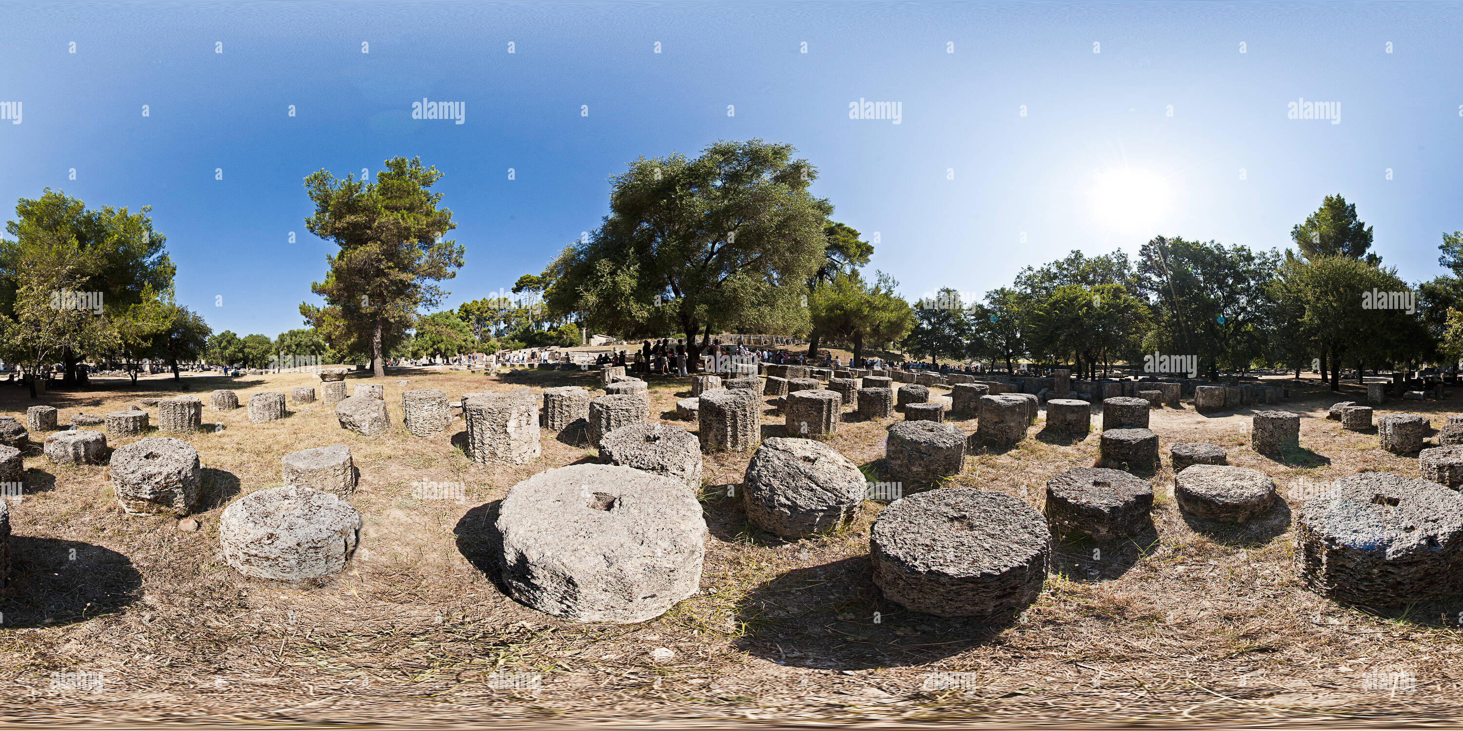 360° view of Olympia petrified forest of columns Alamy