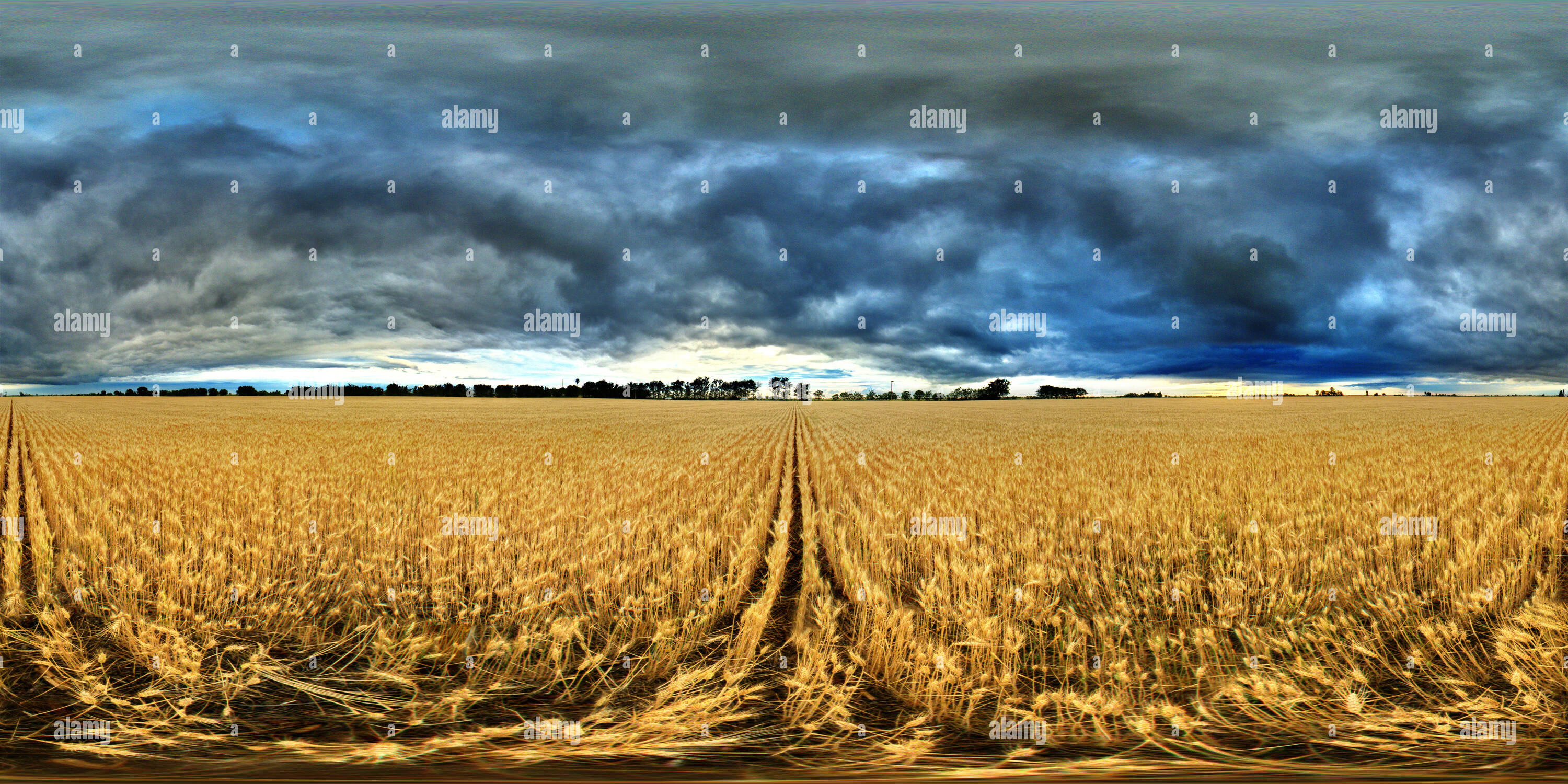 Trigal hires stock photography and images Alamy