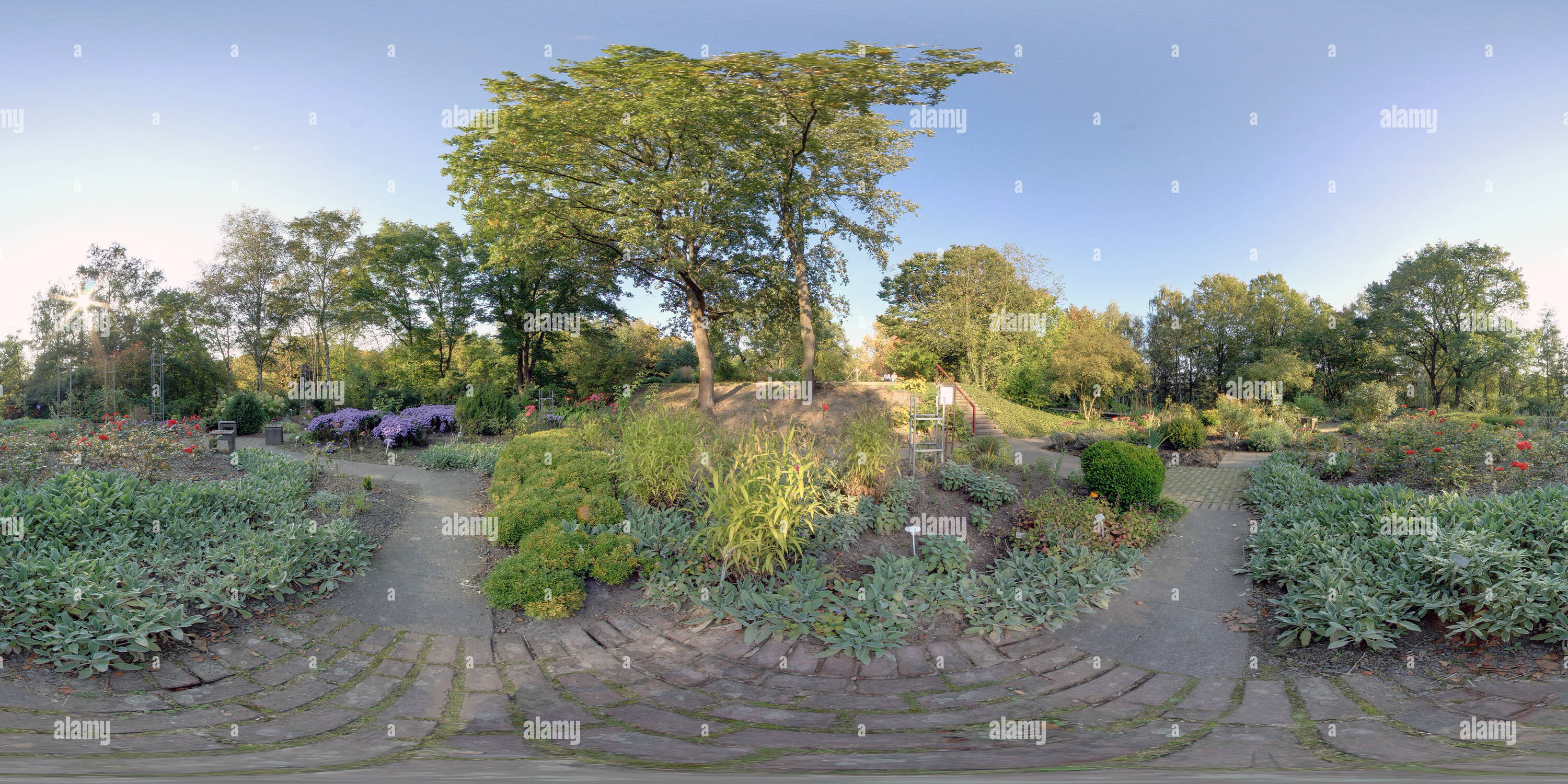 360° view of Another one from the Botanical Garden in Bochum, Germany