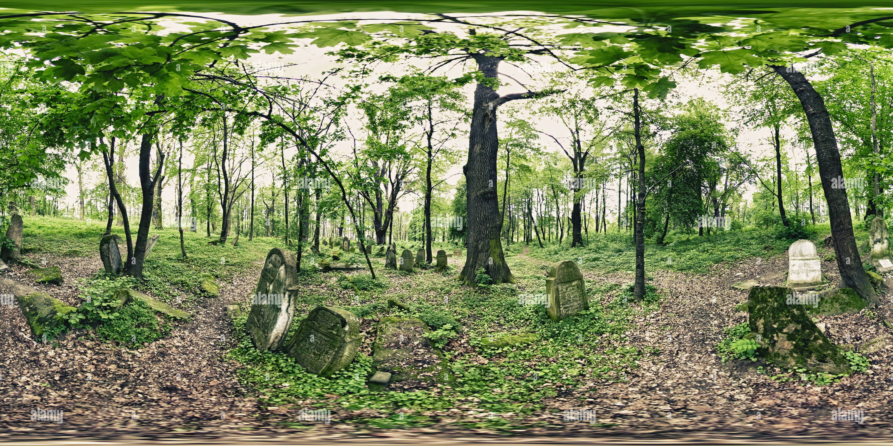 360 degree panoramic view of Lesko - Jewish cemetery #2