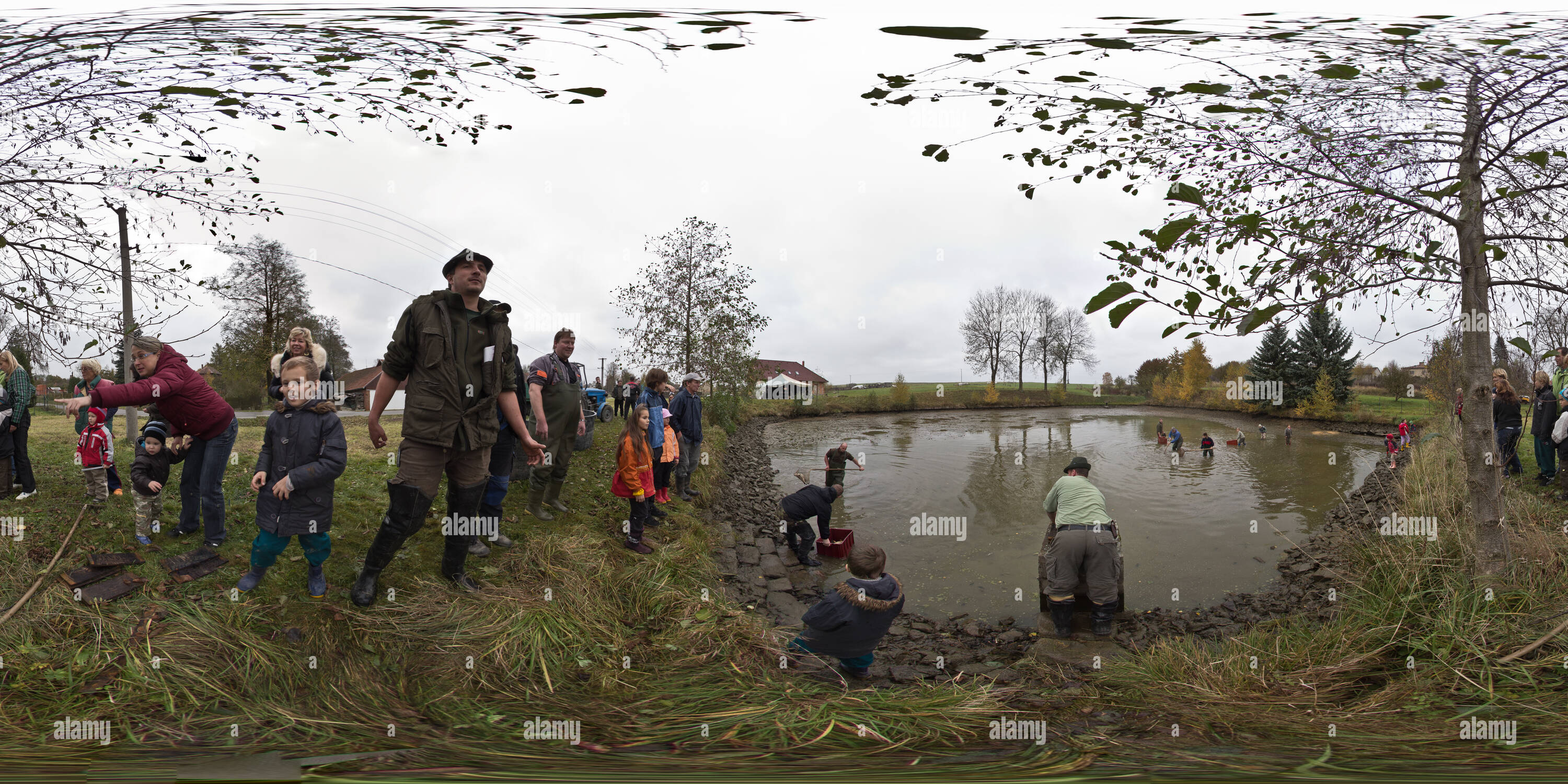 360° view of Autumn Fish Pond Harvesting - Alamy