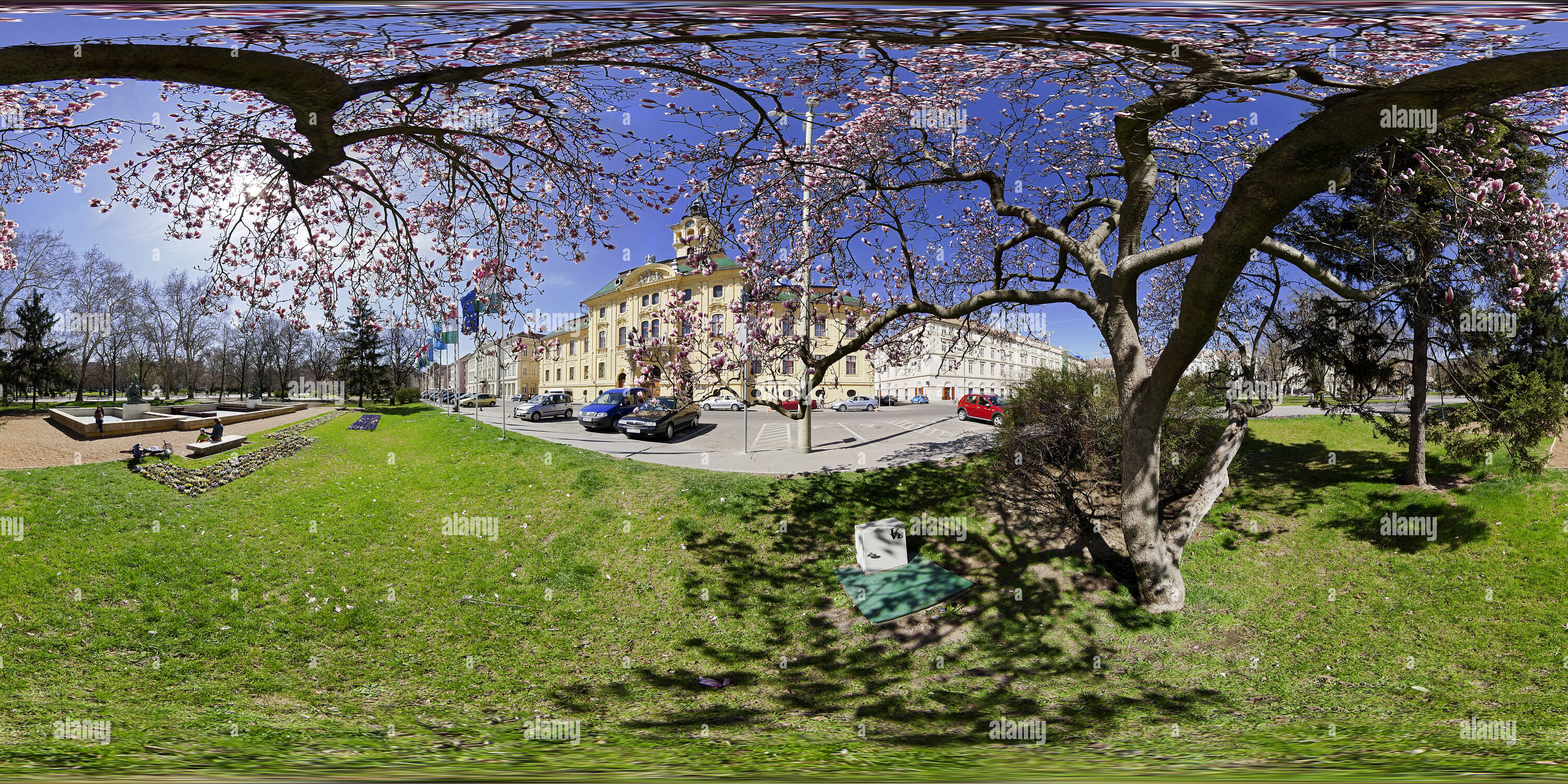 360 degree panoramic view of Magnolia in Szeged