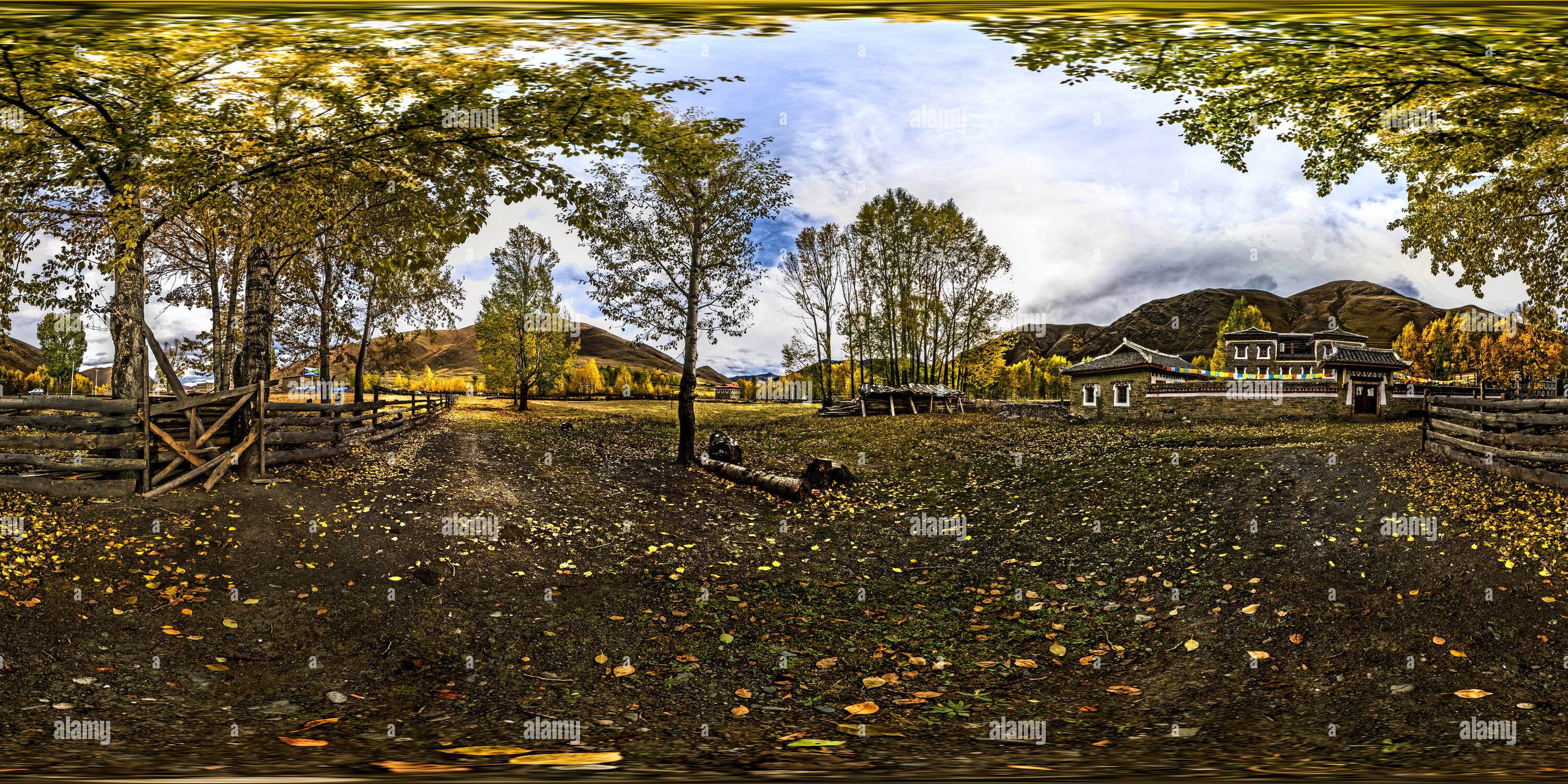 Roads: A Photographer'S Paradise? - 7xgfbi0