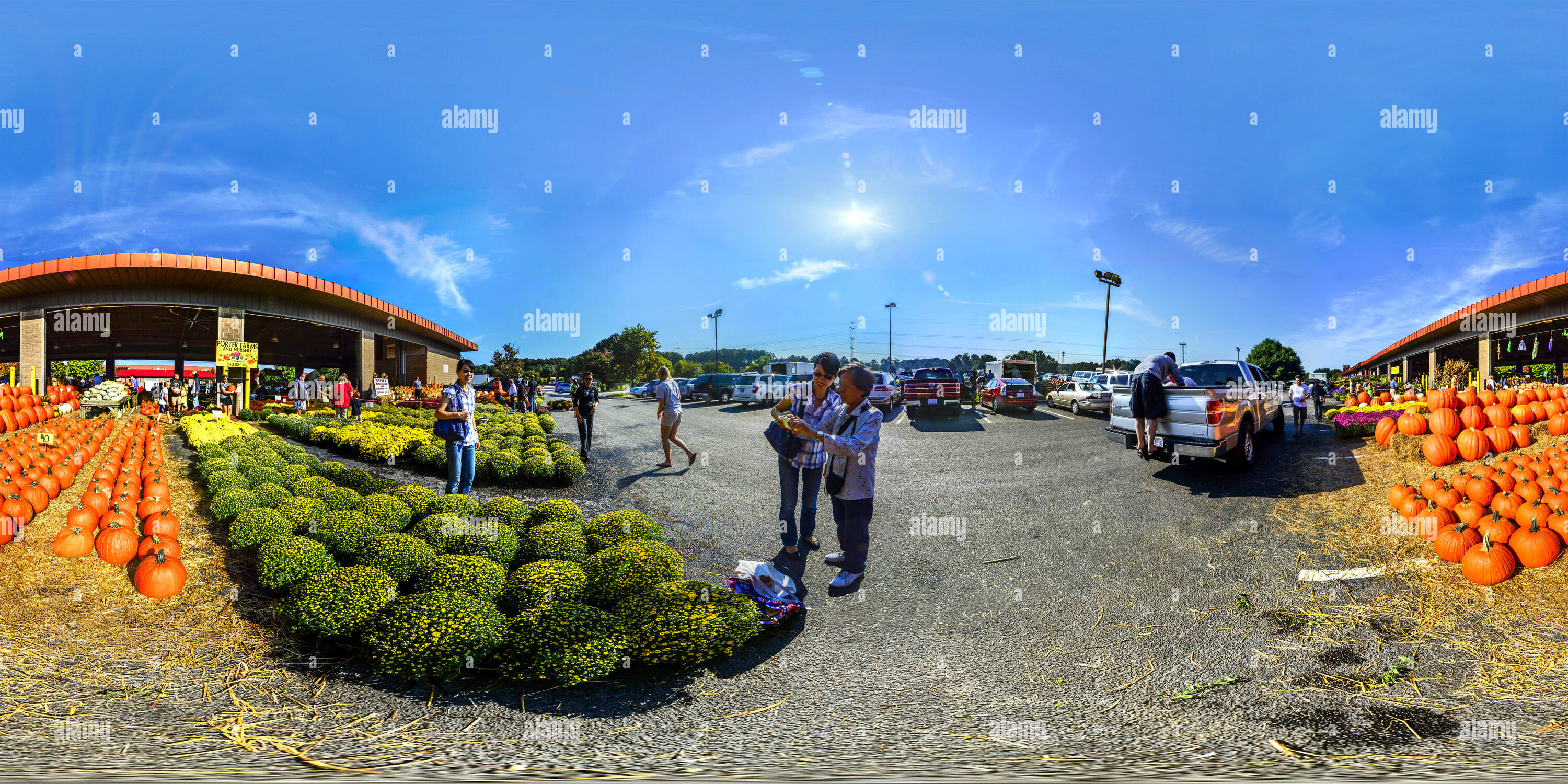 American north carolina raleigh porter farms and nursery hi-res stock