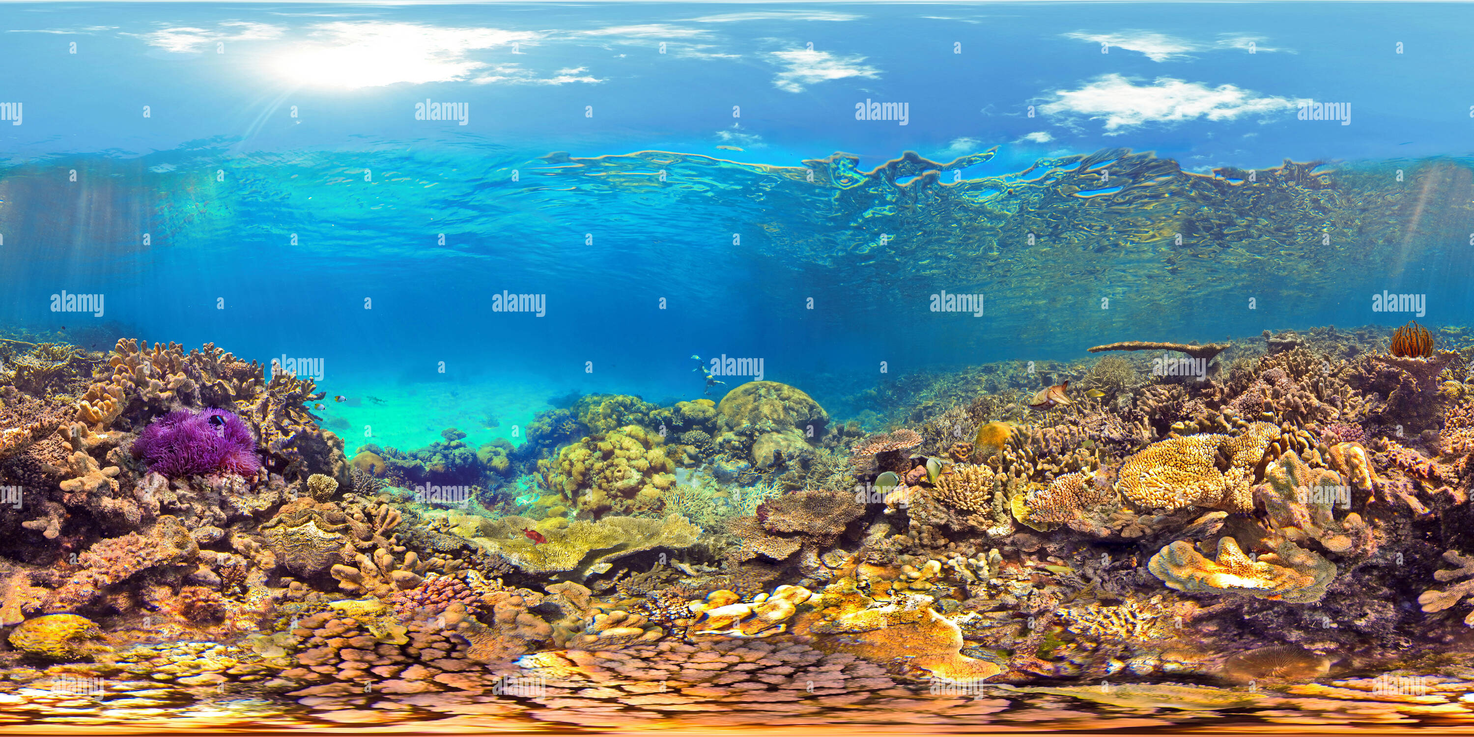 360 degree panoramic view of Underwater Scenic Overlook Kouare New Caledonia