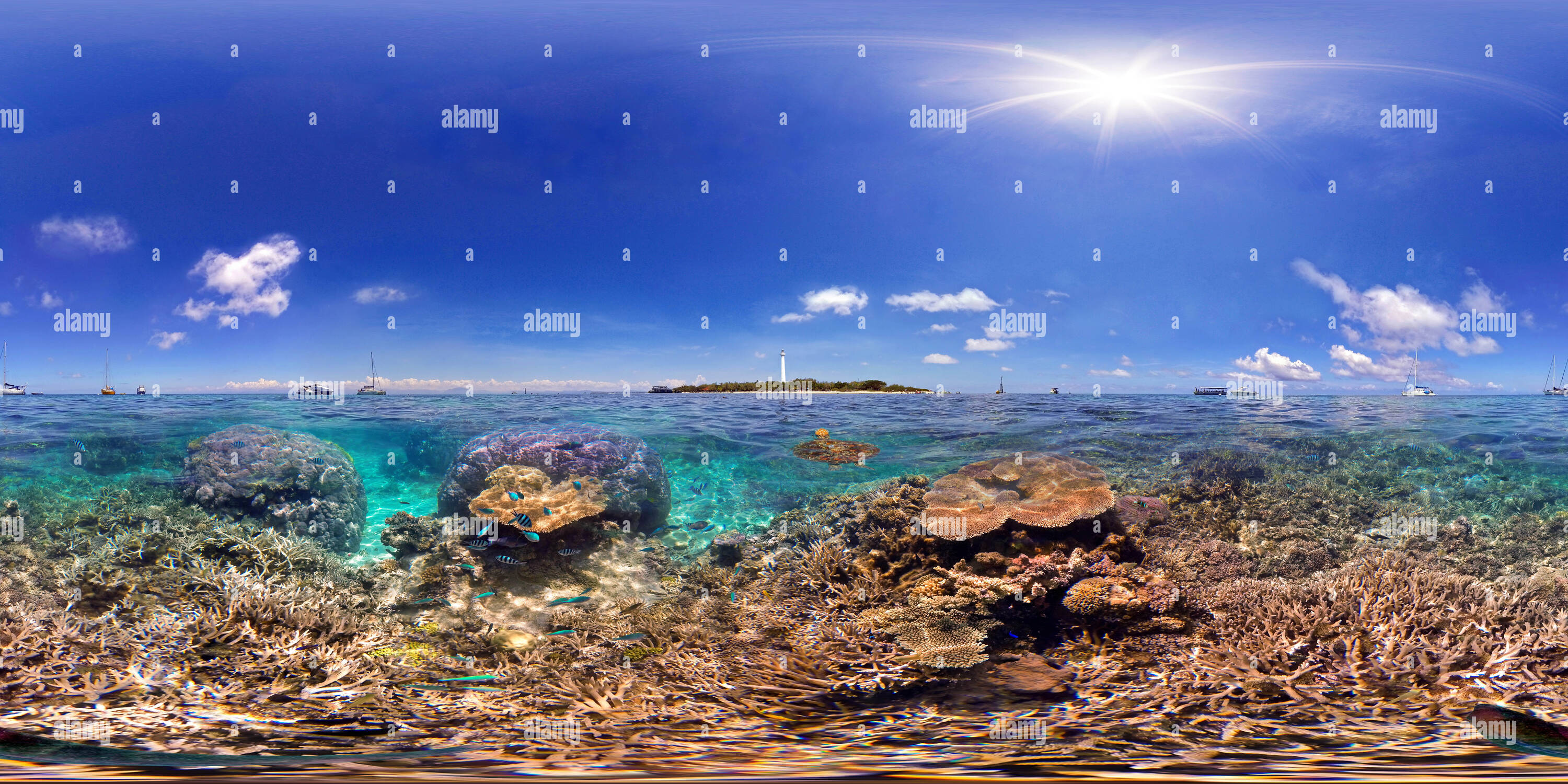 360 degree panoramic view of Amedee Sea Turtle Heritage