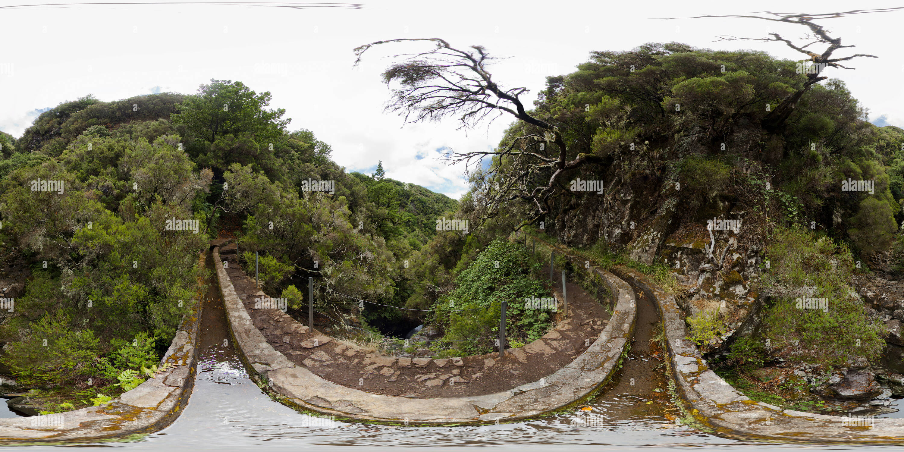 360° view of Madeira, Levada Rabacal - Alamy