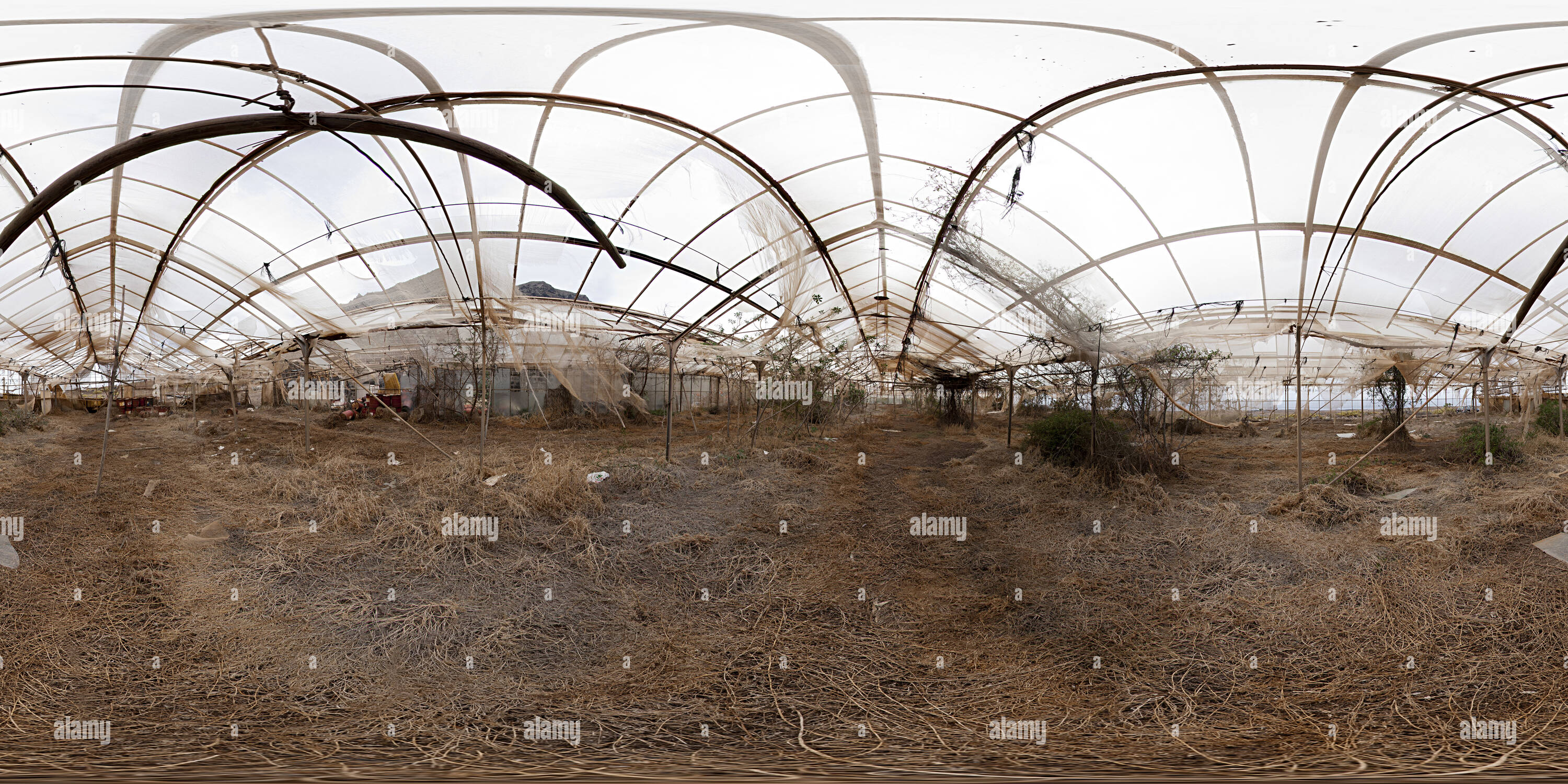Abandoned greenhouse abandoned hi-res stock photography and images - Alamy