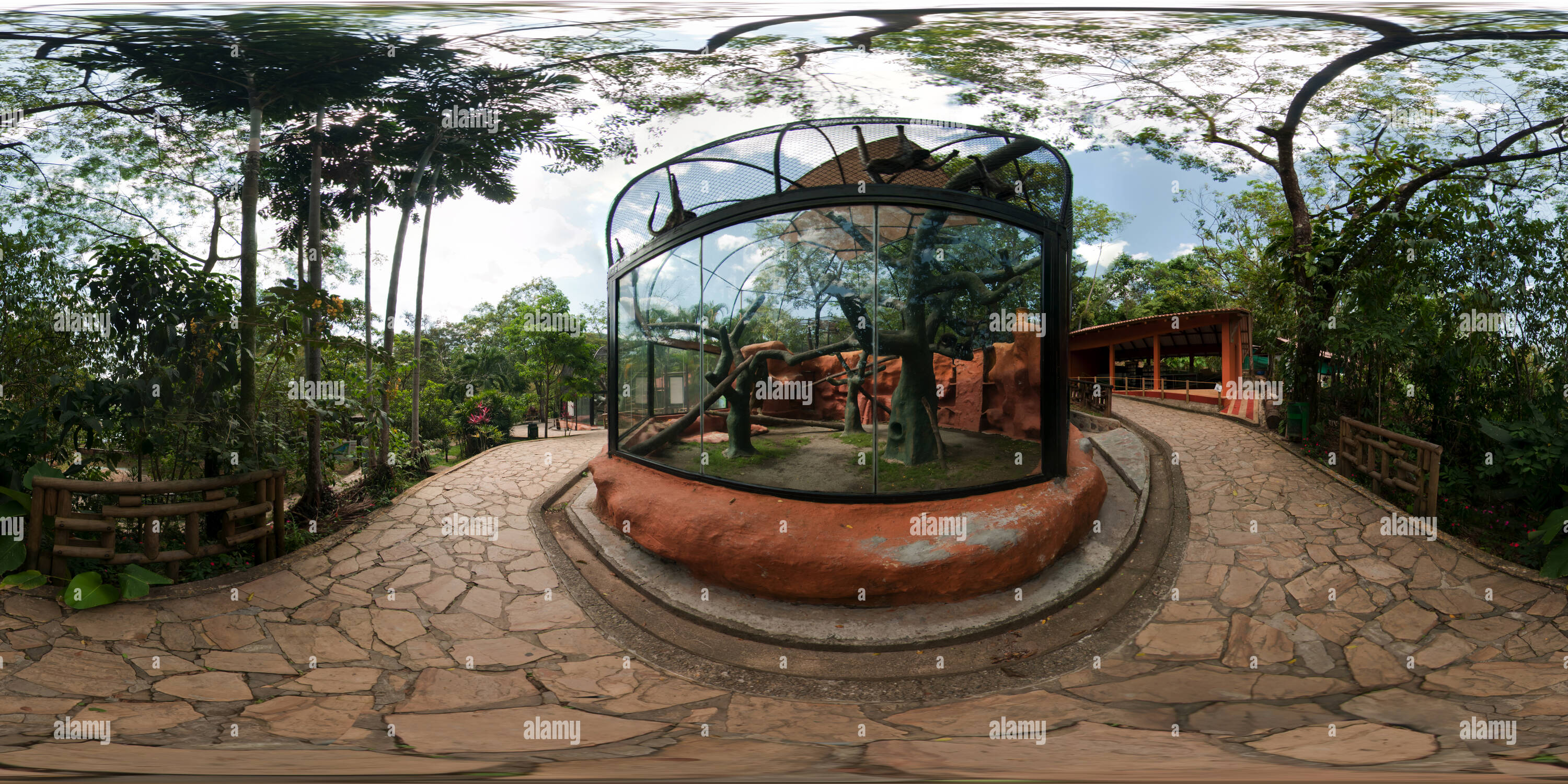 360 degree panoramic view of Zona de los Primates Marimonda Café en el Bioparque Los Ocarros