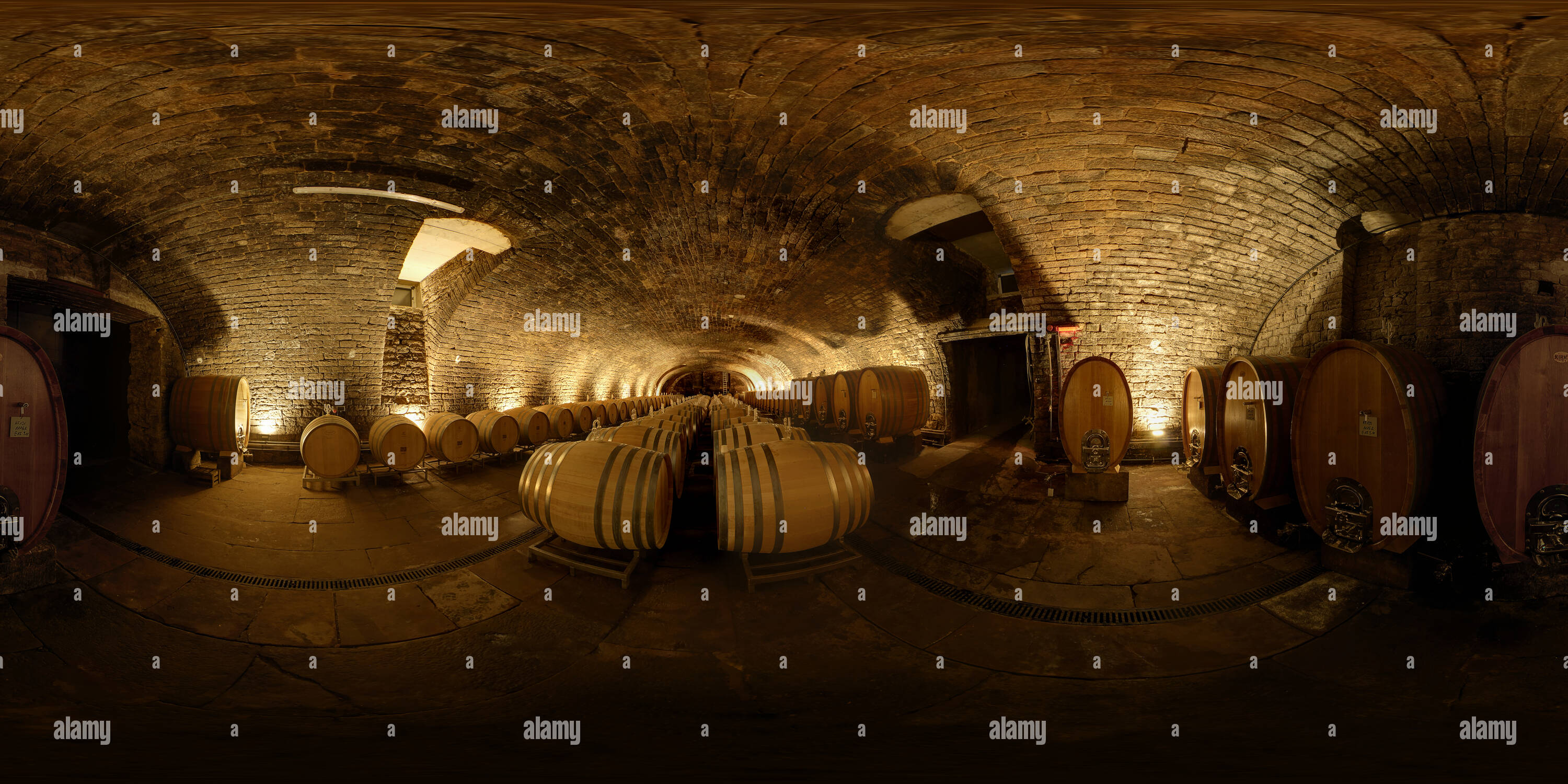 360 degree panoramic view of Wine Cellar - Barrique Barrels-  Deidesheim - Palatine - German Wine Street