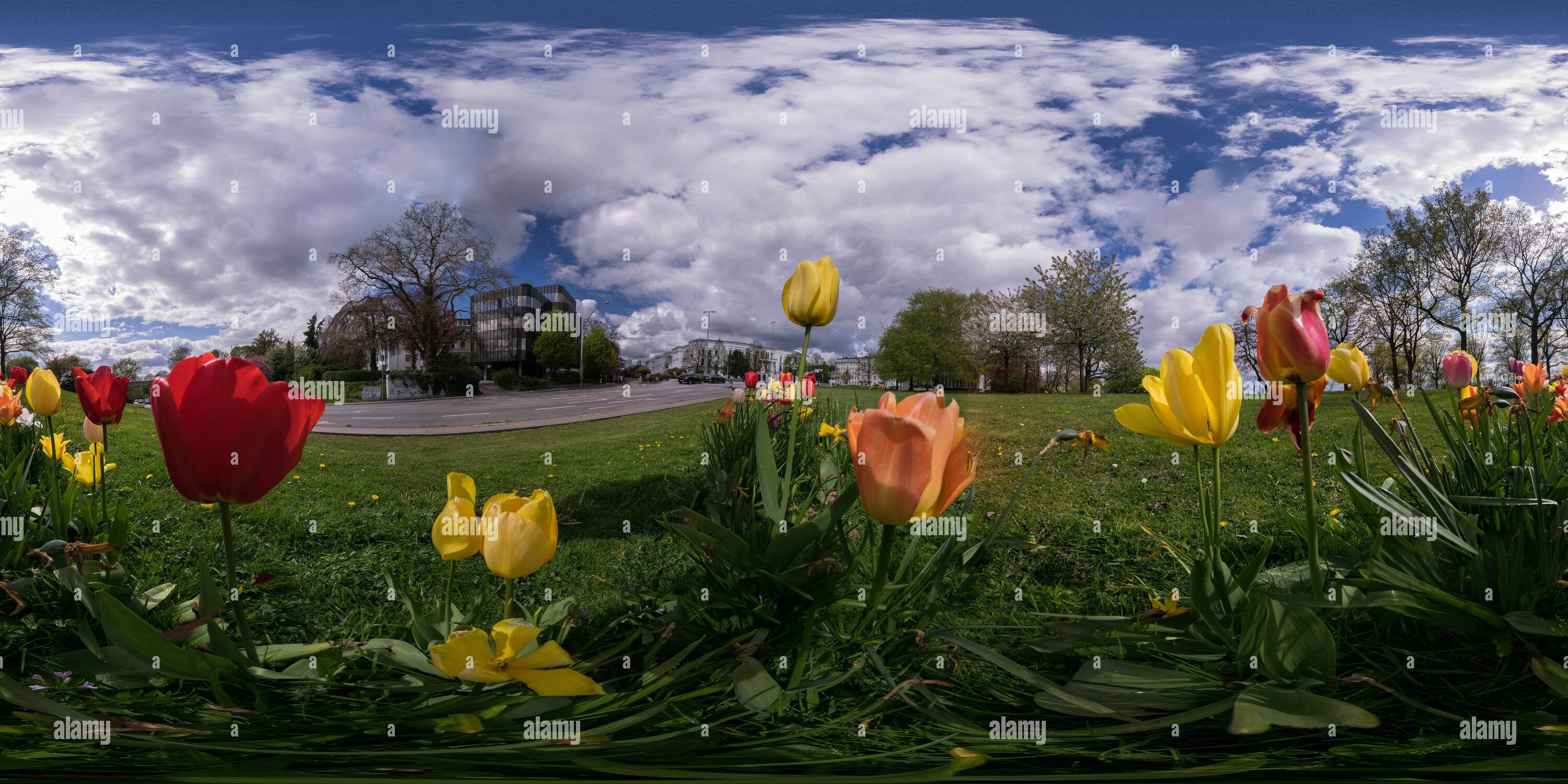 360° view of Spring in Hamburg flowers at the Altona Balcony Alamy
