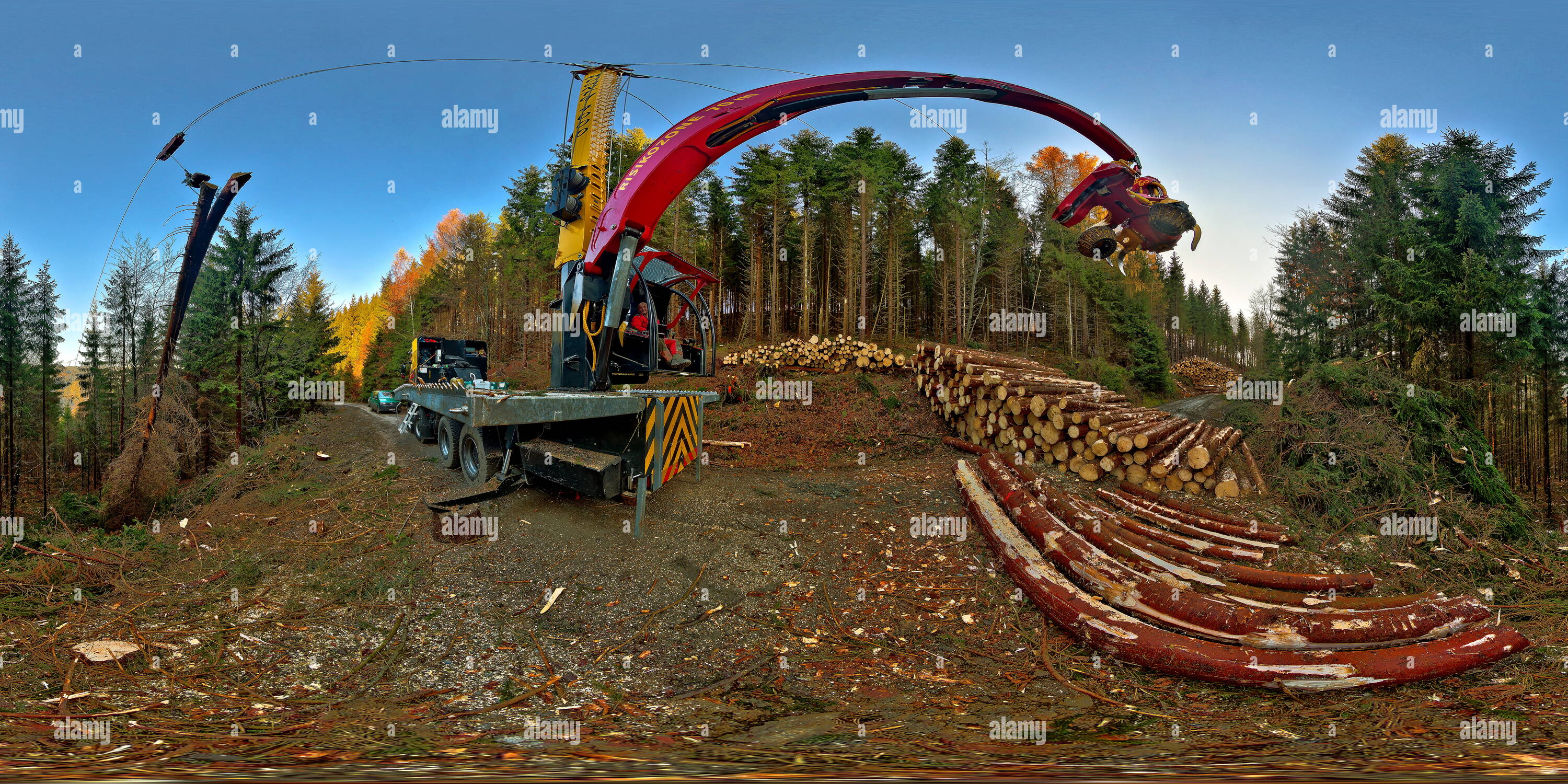 360° view of Timber hauling with cable crane Alamy