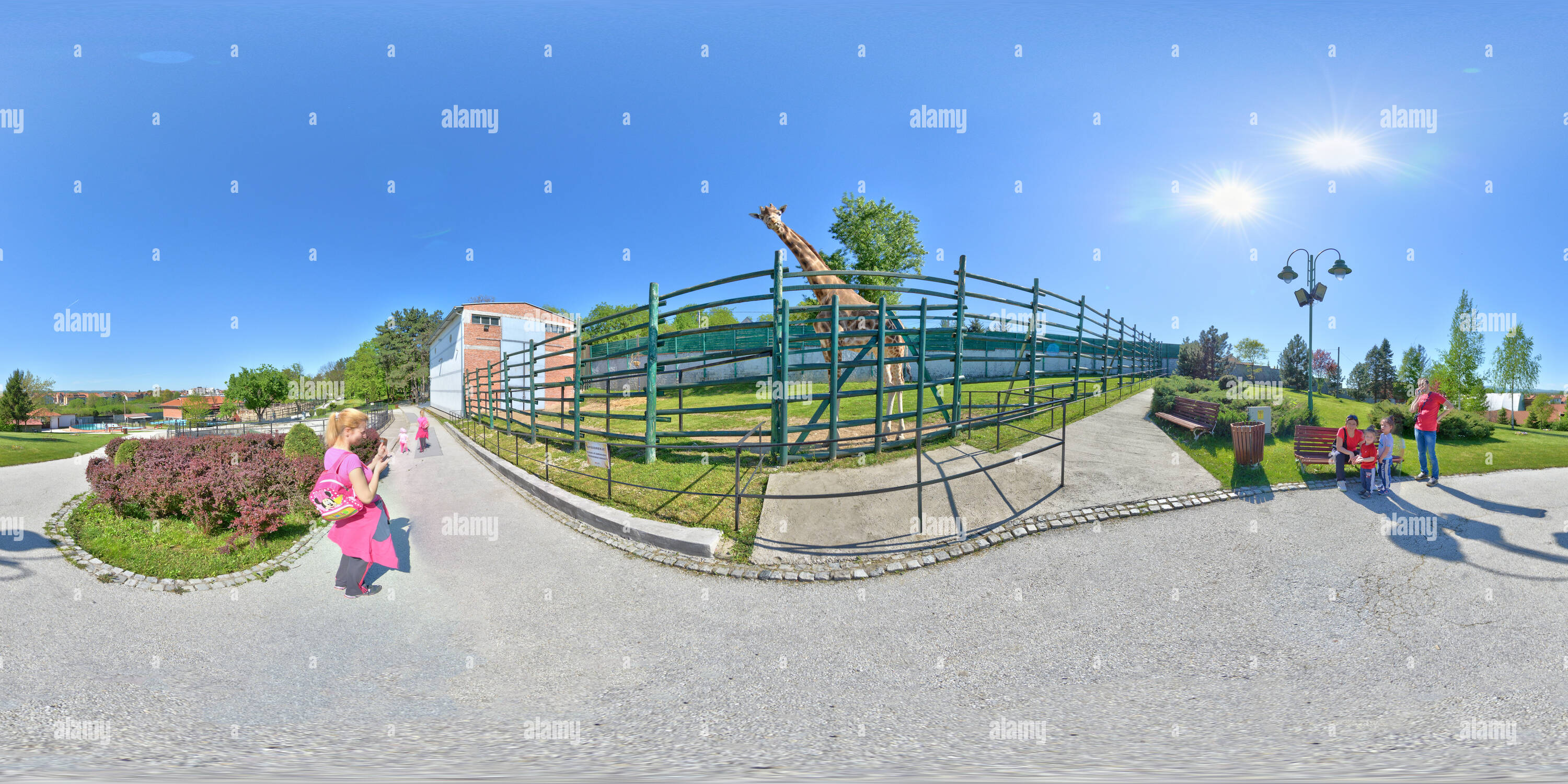 360 degree panoramic view of Giraffe (Jagodina)