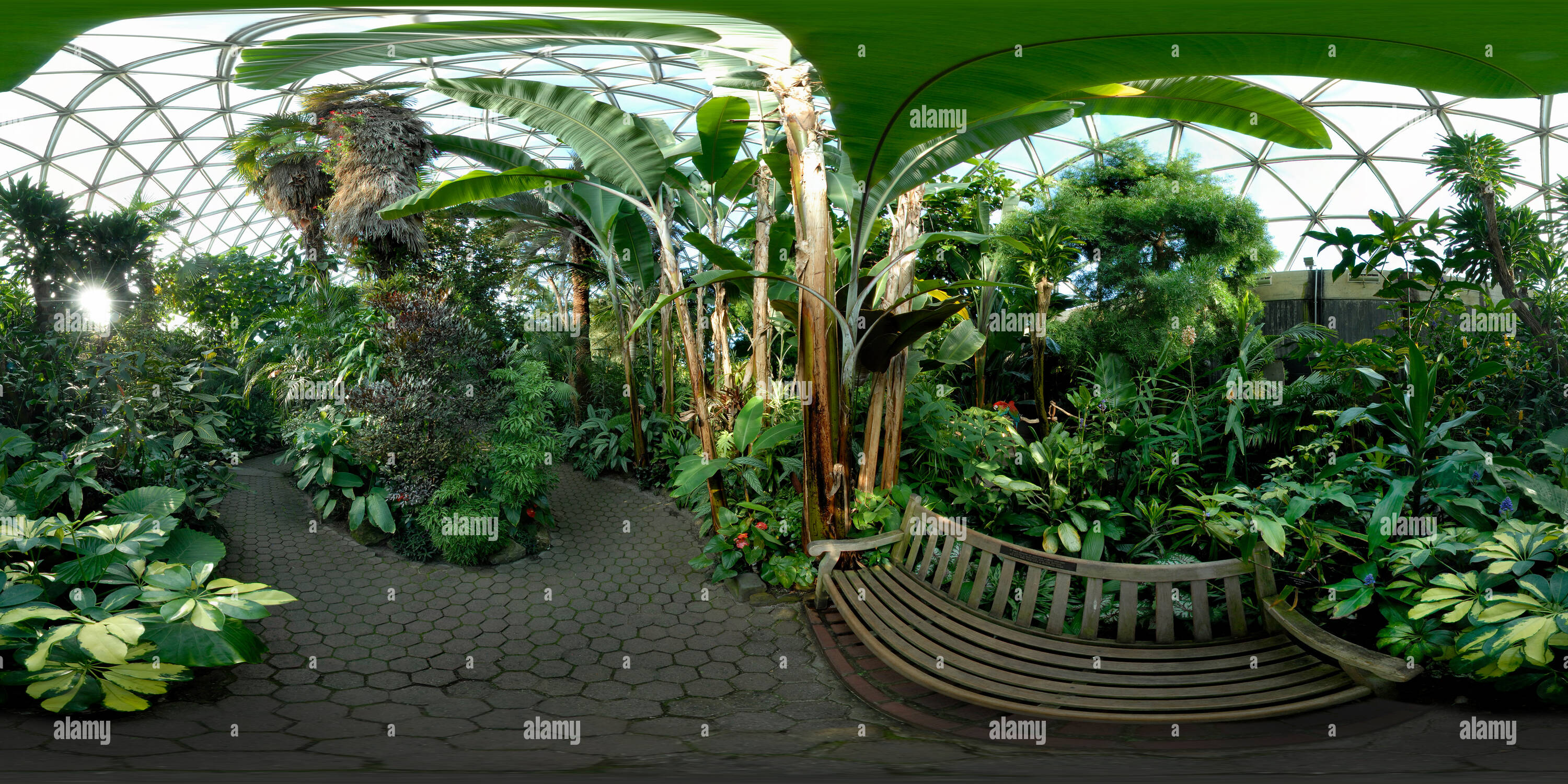 Bloedel floral conservatory hires stock photography and images Alamy