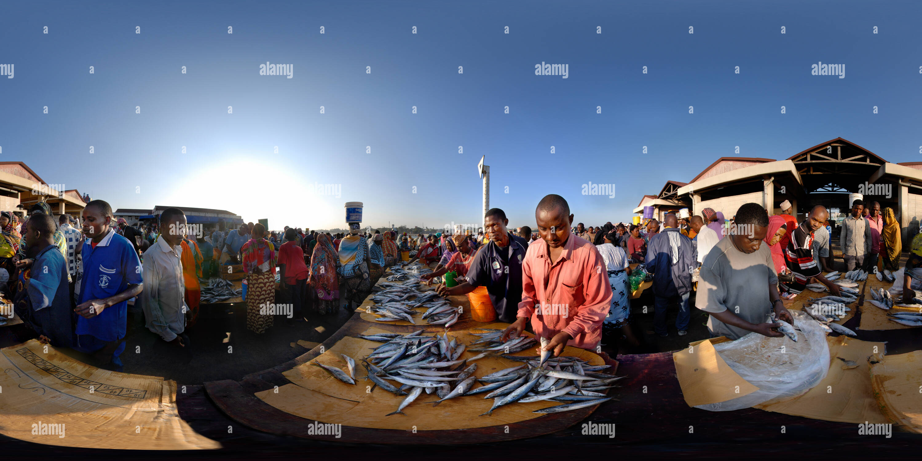360° view of Mzizima Fish Market, Dar es Salaam 1 Alamy