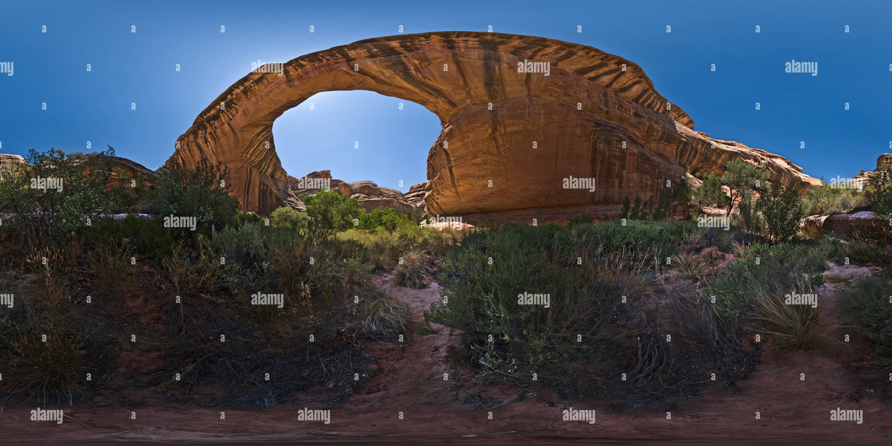 360° view of Sipapu Bridge in Natural Bridges National Park, Utah, 7842 Alamy