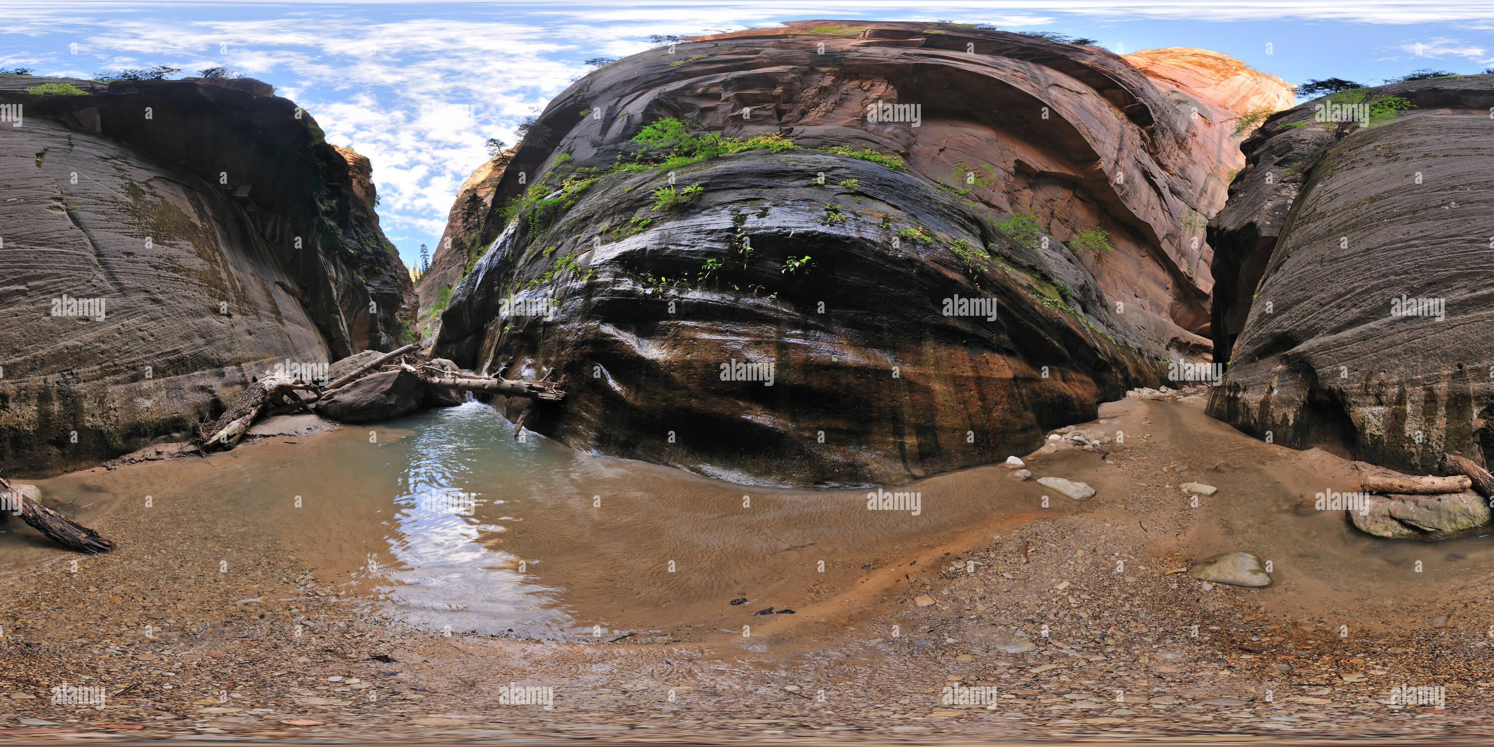 360° view of Virgin Narrows, Orderville Canyon, Zion National Park