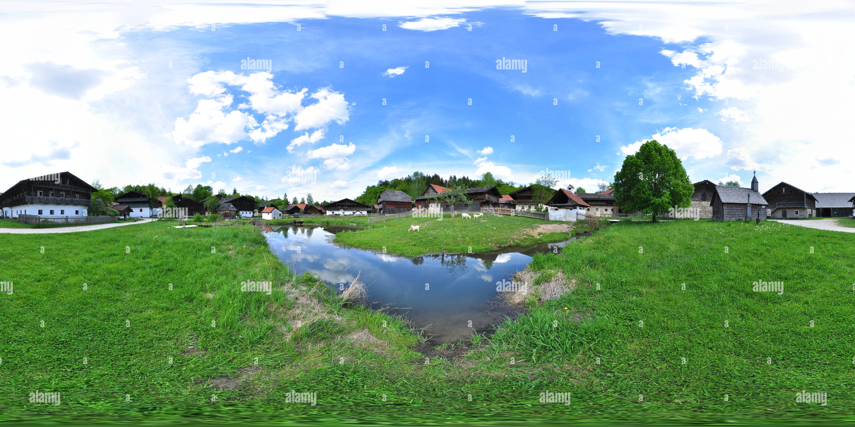 360° view of Museumsdorf Unterer Dorfanger mit Ziegen auf der Wiese