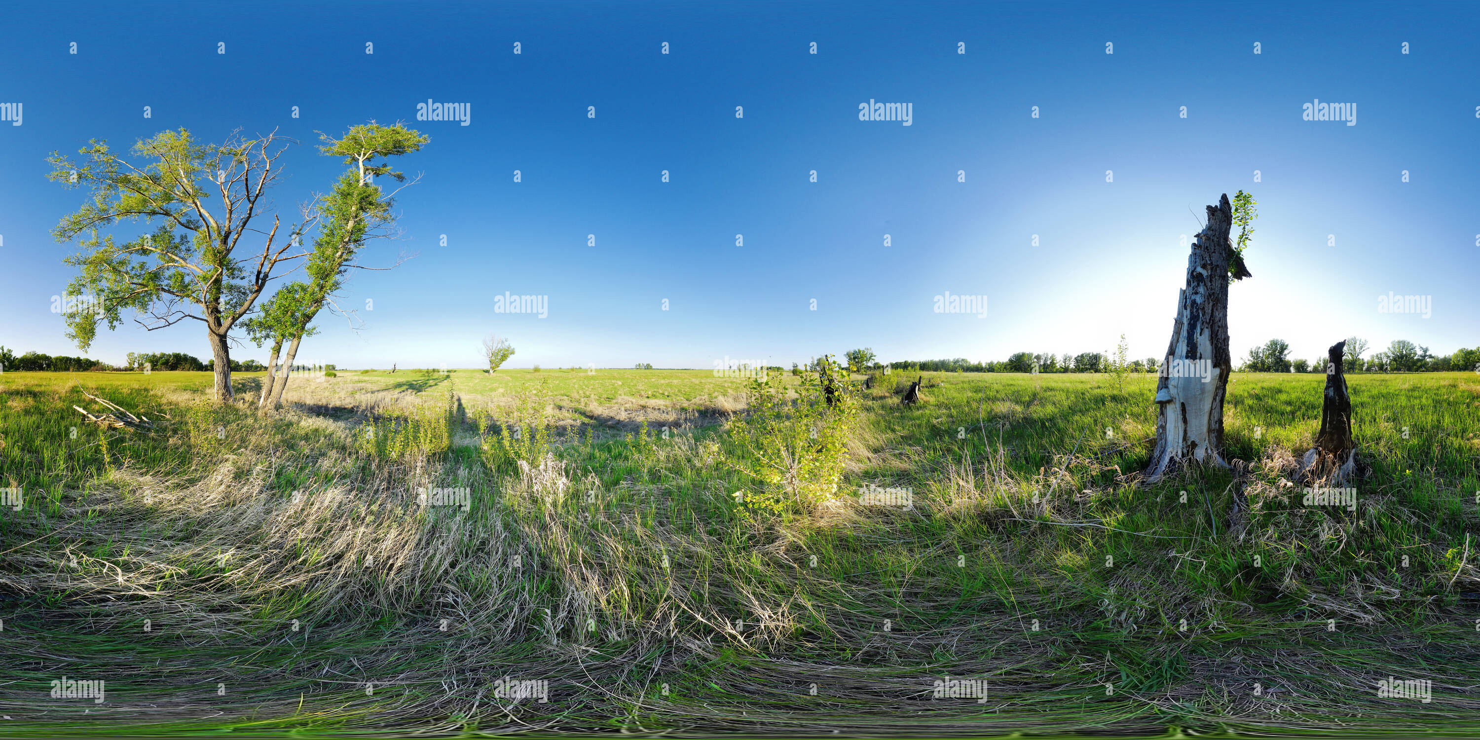 360 degree panoramic view of Dried-up lake