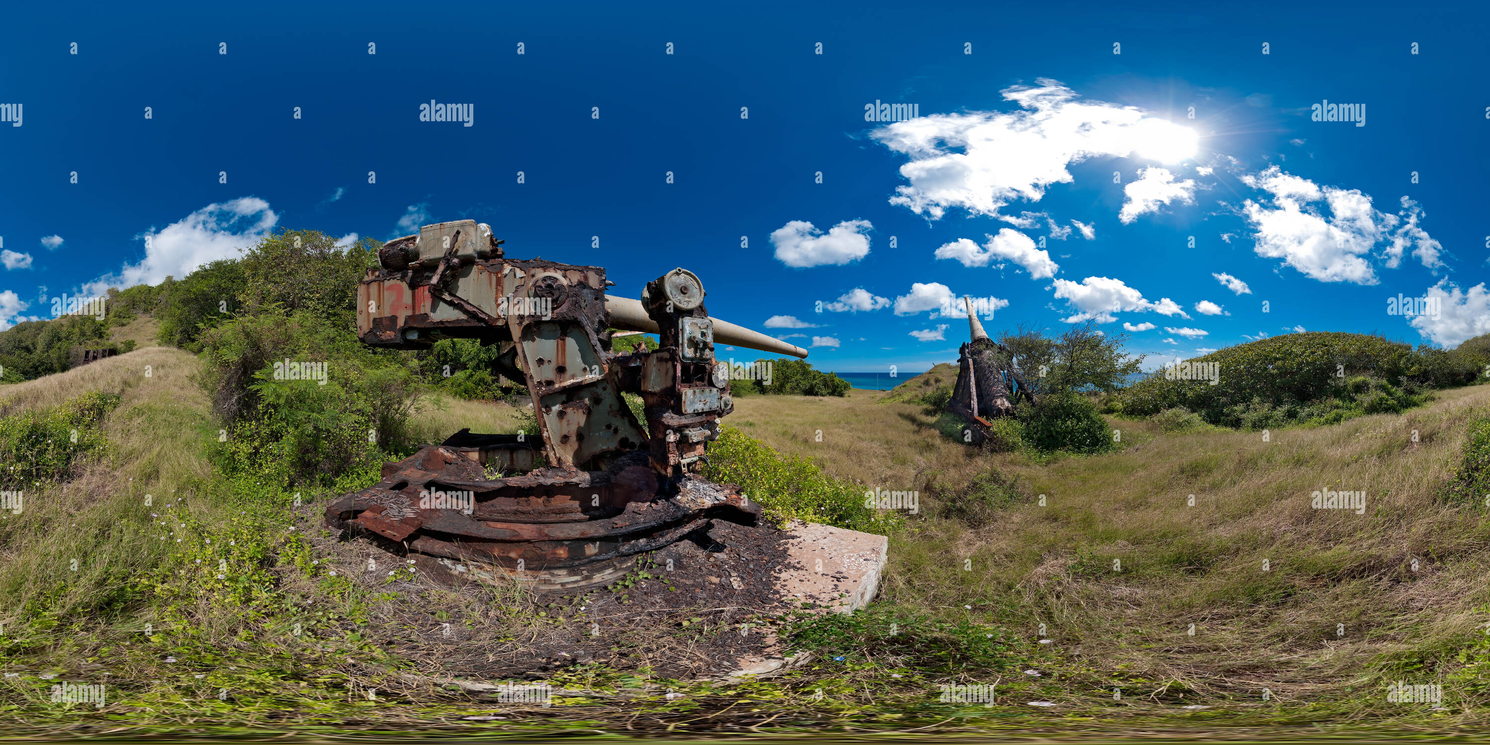 360° view of HARP gun (next to second smaller gun Alamy