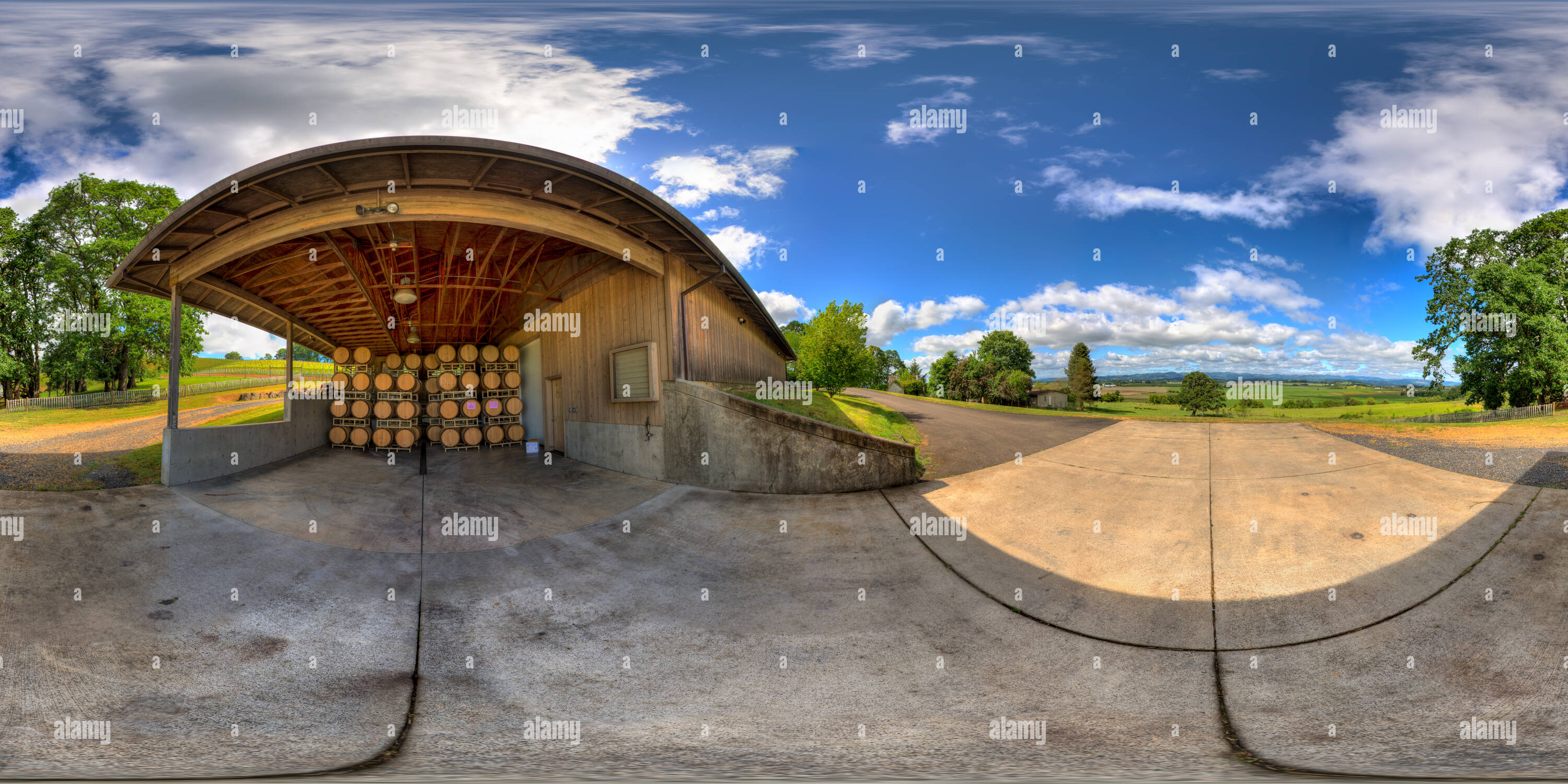 360 degree panoramic view of Oak Barrels and Vineyards, Belle Pente Vineyard and Winery, Carlton, OR