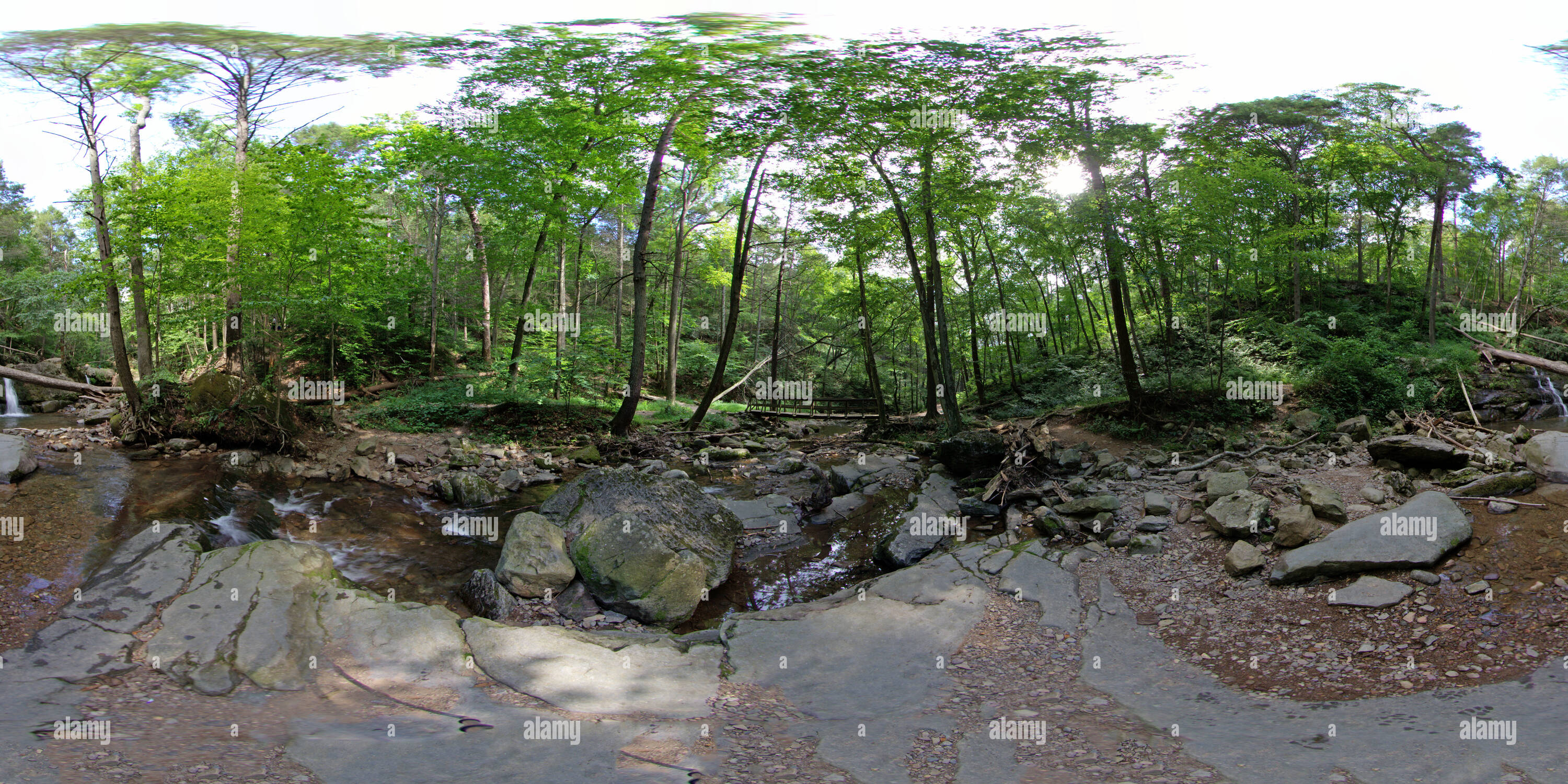 360° view of Dunnfield Creek, Worthington State Forest Alamy
