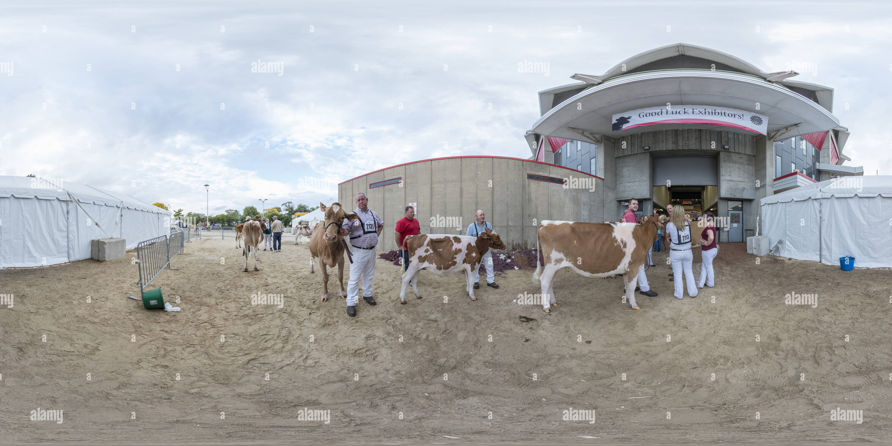 360 degree panoramic view of On deck at World Dairy Expo 2013