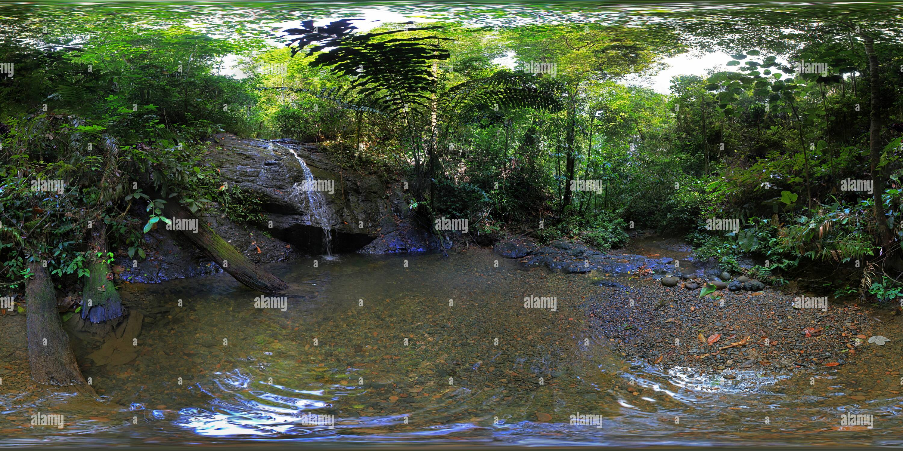 Ulu temburong national park hi-res stock photography and images - Alamy