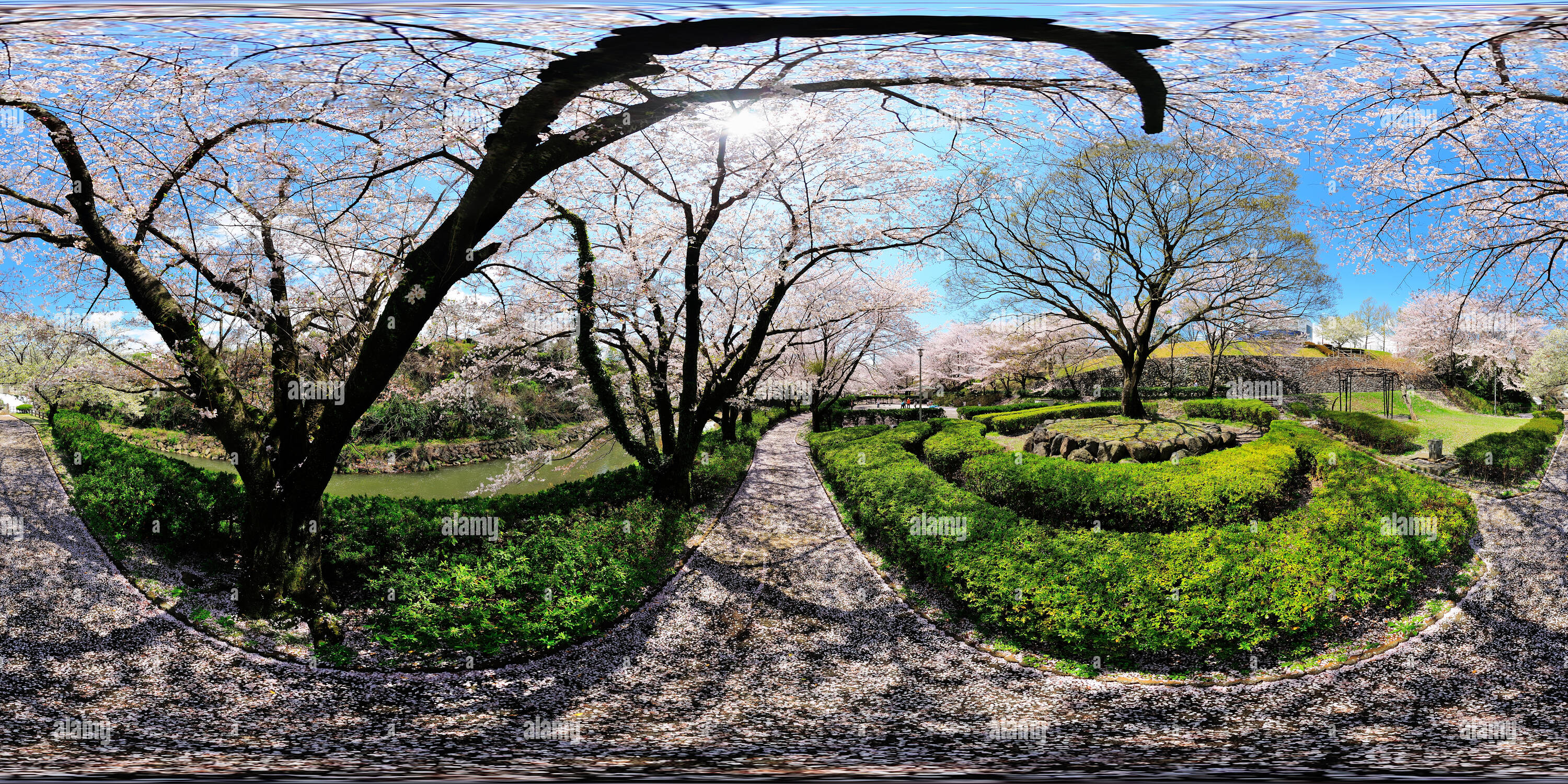 Iwasaki hi-res stock photography and images - Alamy