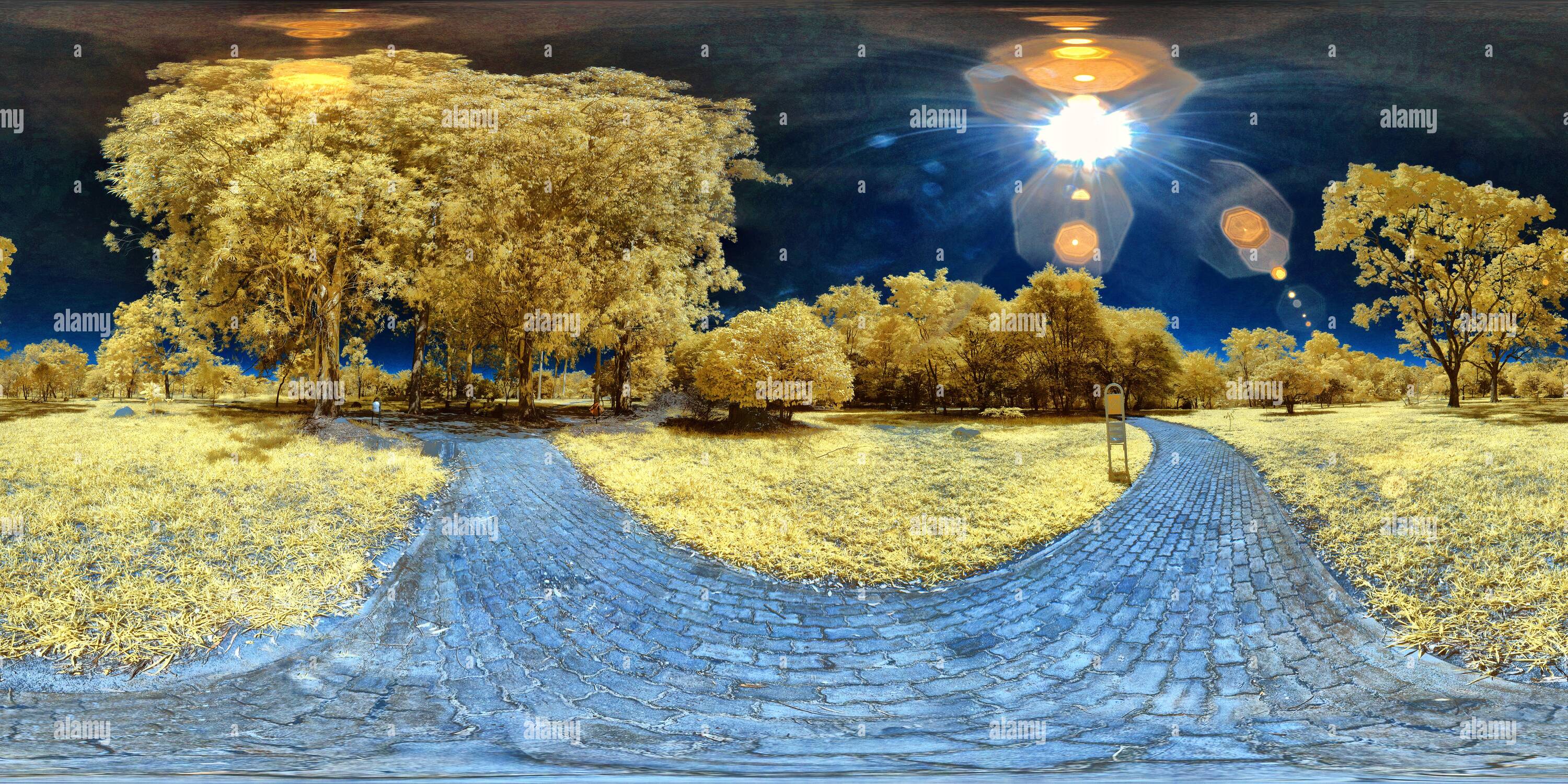 360 degree panoramic view of Parque Olhos D'água - Infrared - Eucaliptos
