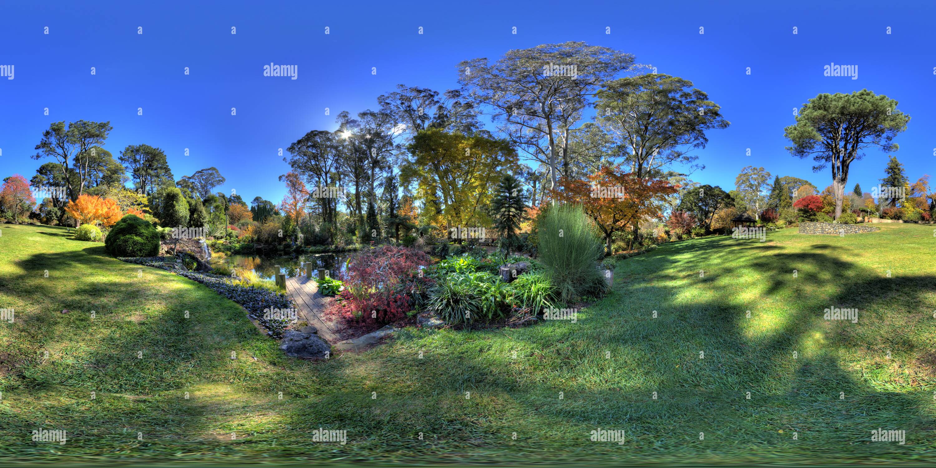 360° view of Autumn in Mt Wilson The Blue Mountains Panorama 3 of