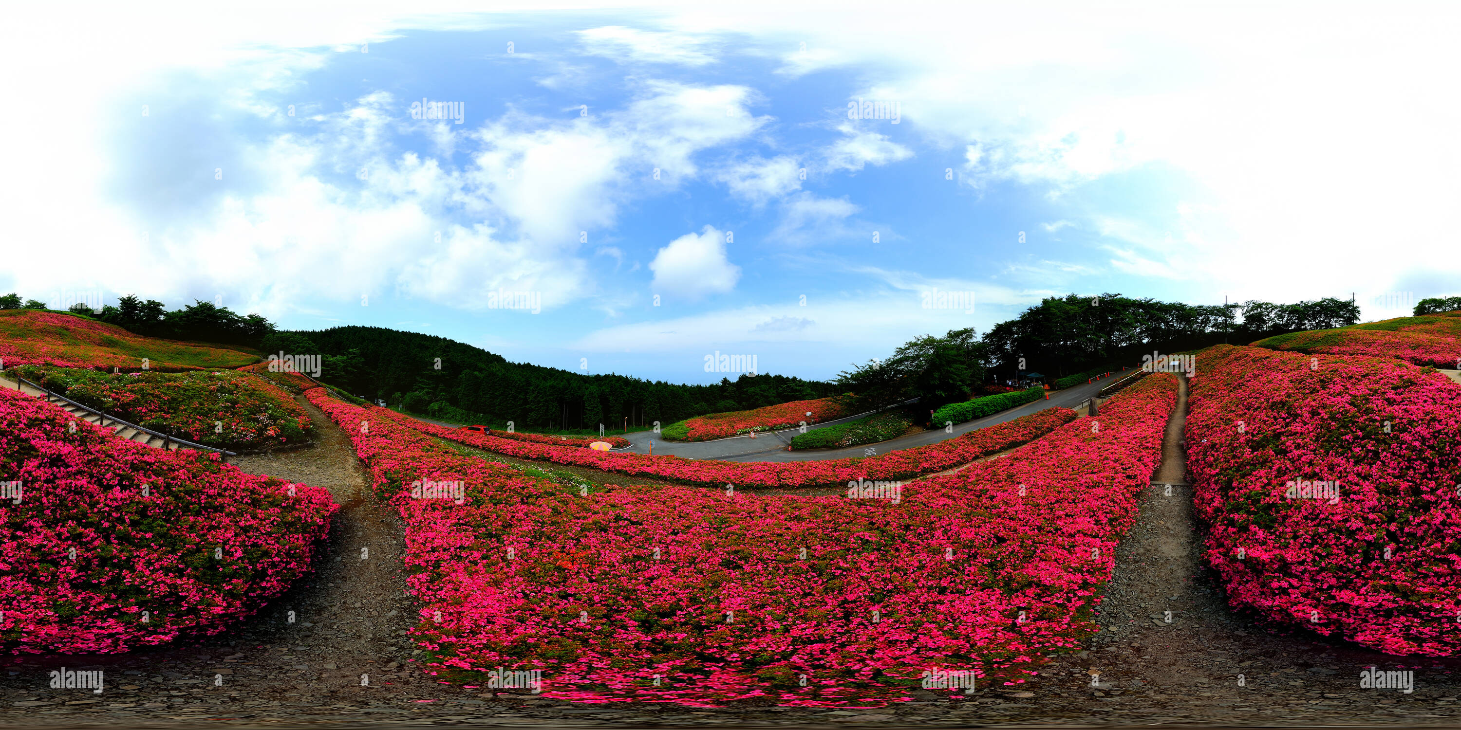 Yama hi-res stock photography and images - Alamy