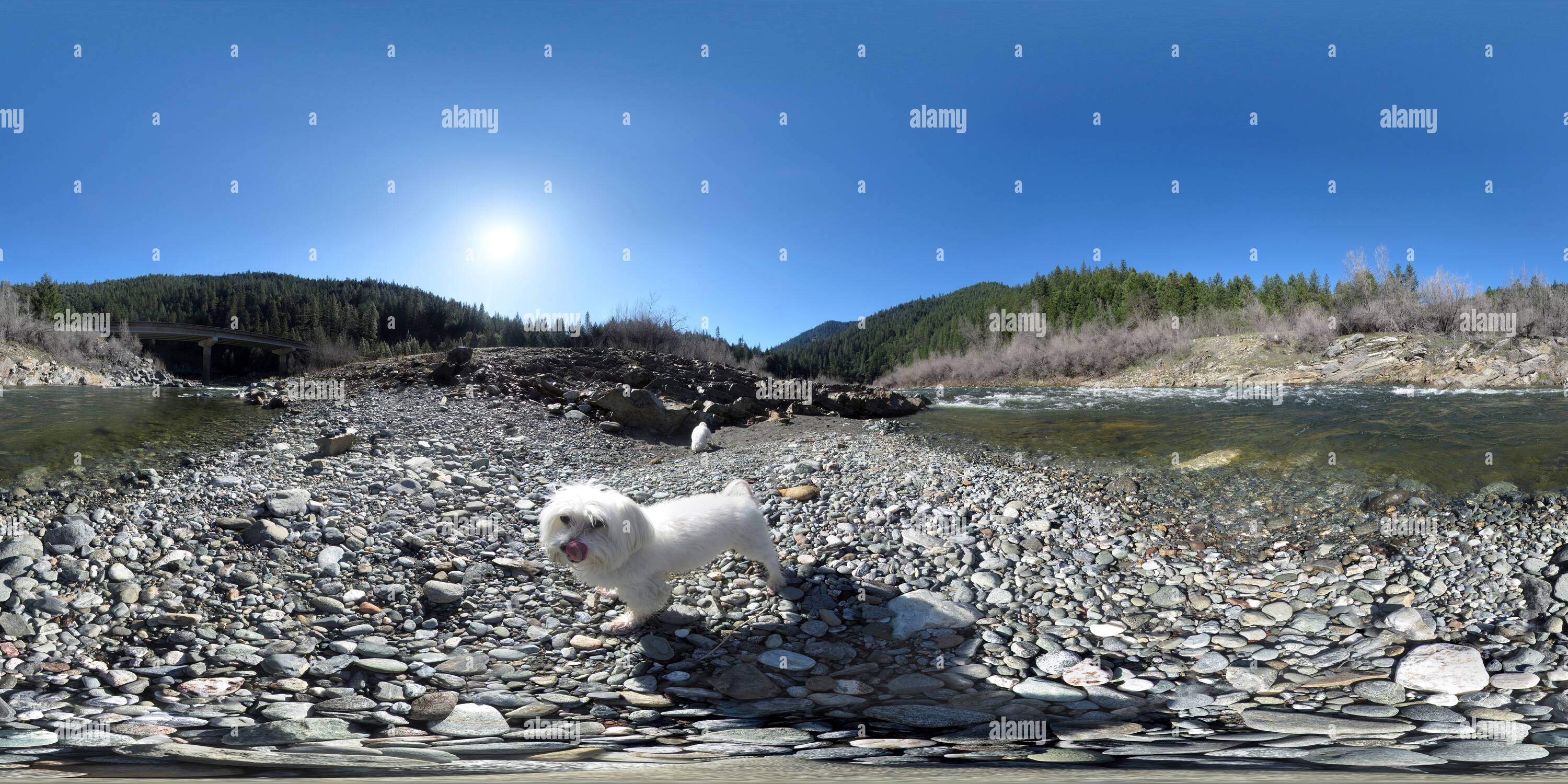 360° view of Applegate Lake Seattle Bar Alamy