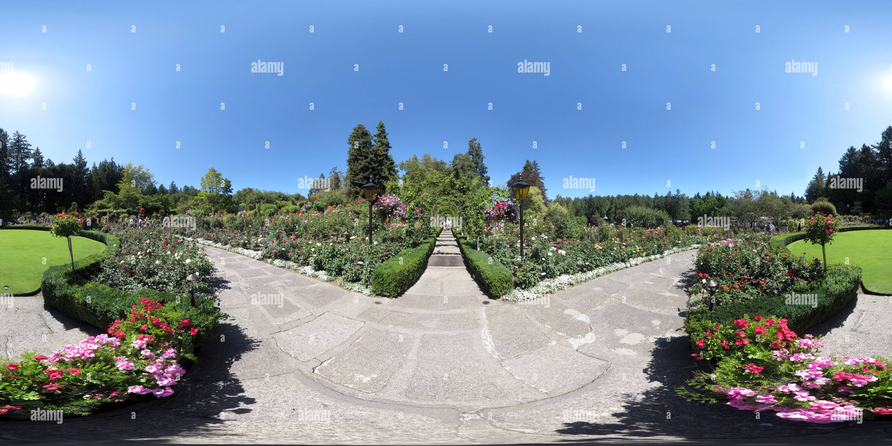 360 degree panoramic view of Butchart Gardens - Rose Garden