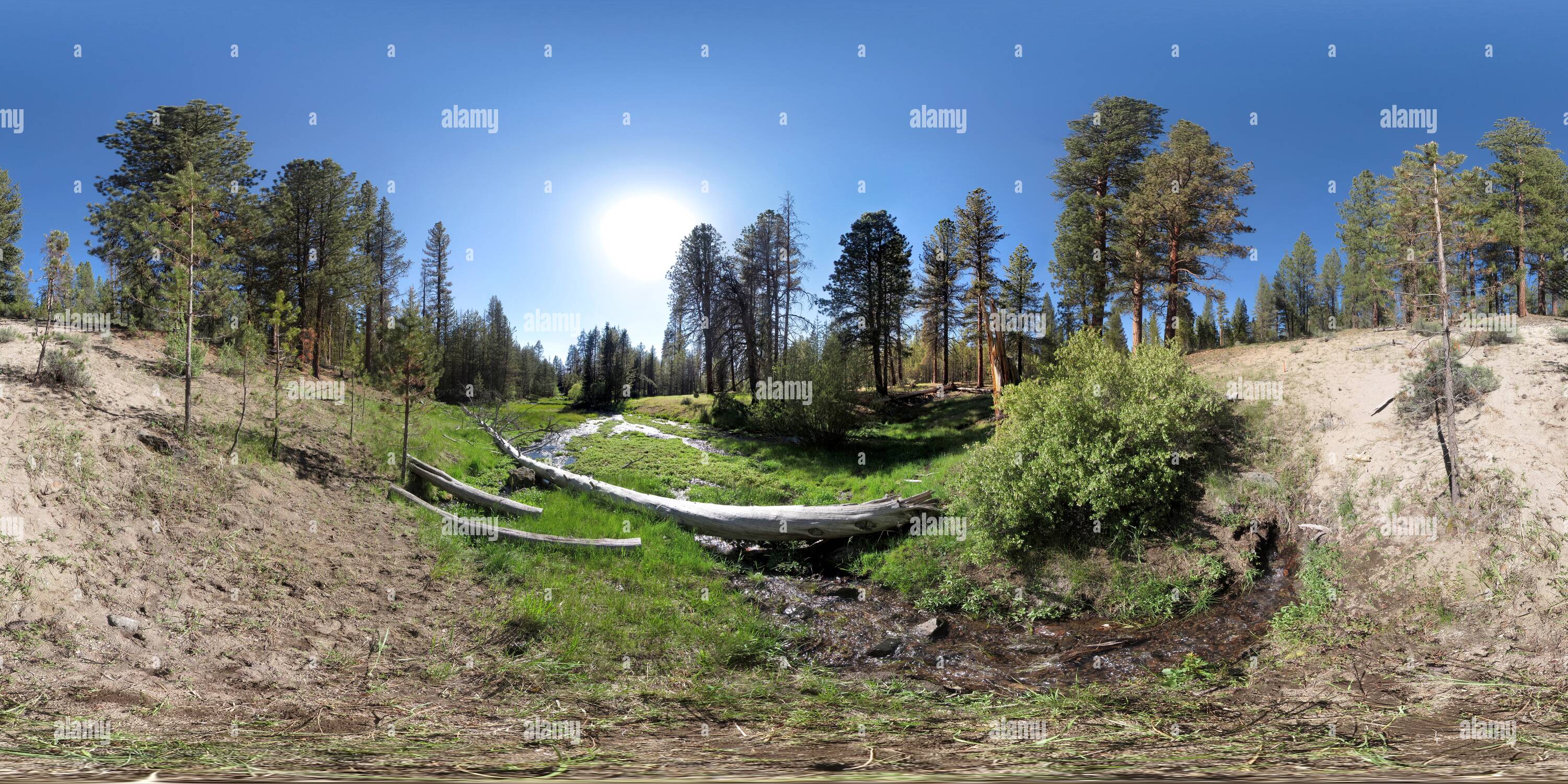360° view of Williamson River headwaters [1] Alamy