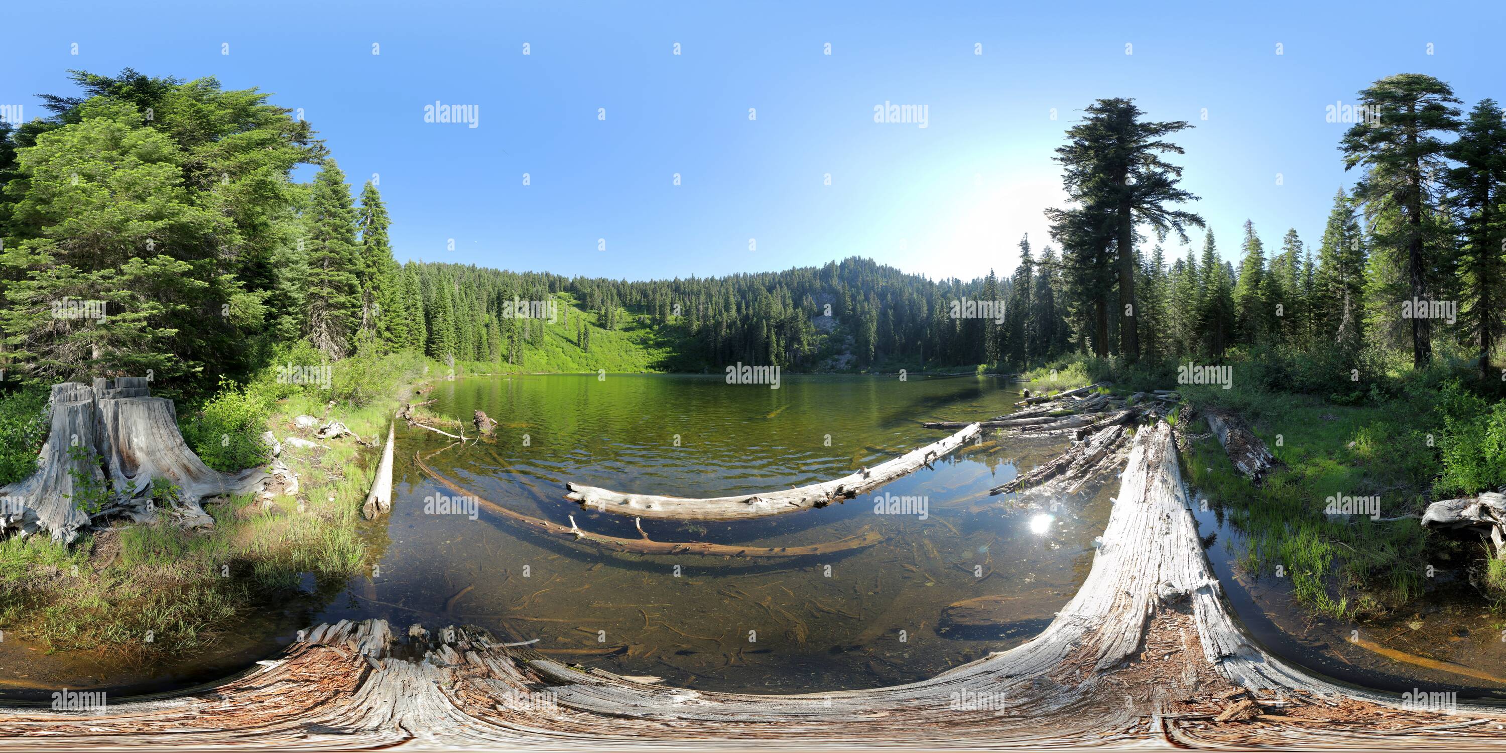 360 degree panoramic view of Tannen Lake